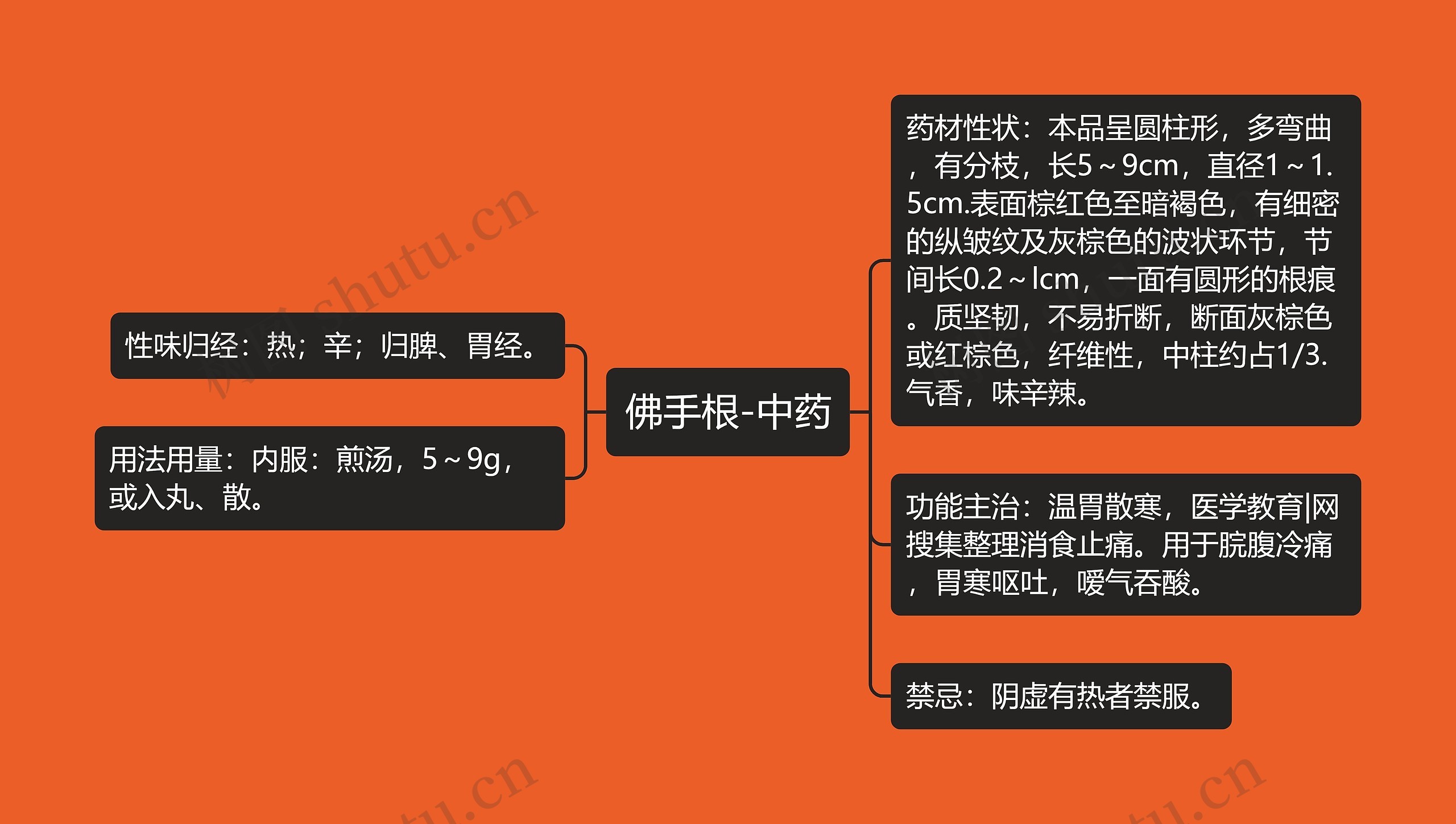 佛手根-中药思维导图