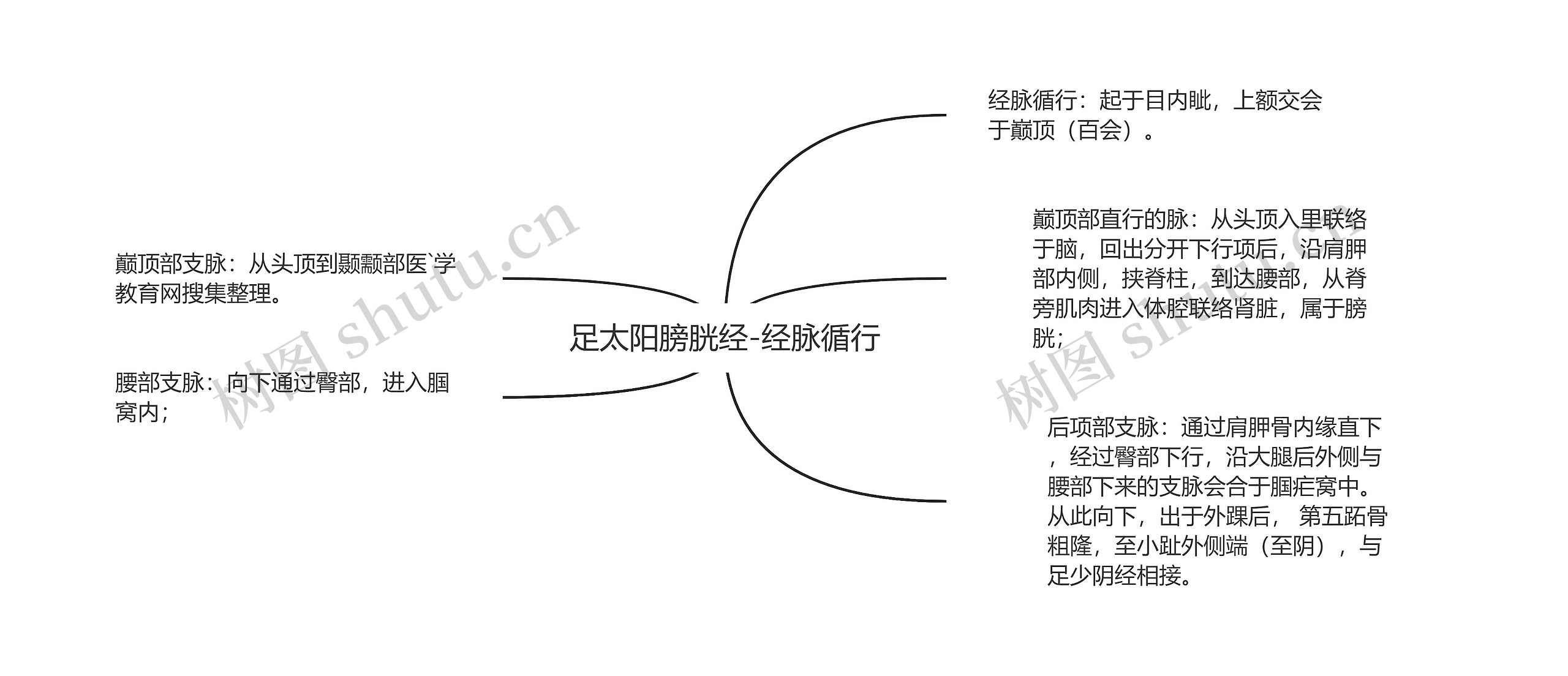 足太阳膀胱经-经脉循行思维导图