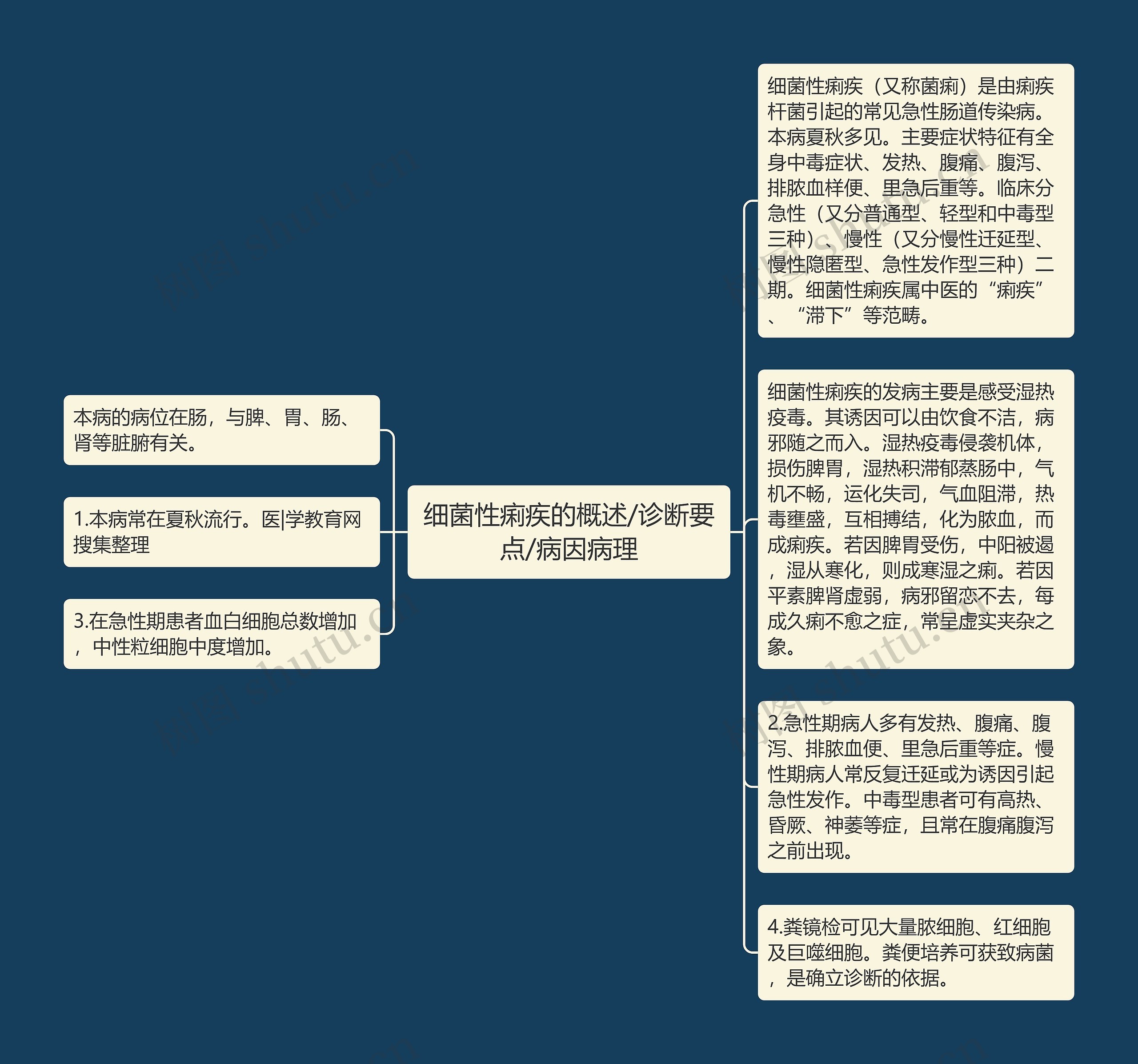 细菌性痢疾的概述/诊断要点/病因病理思维导图