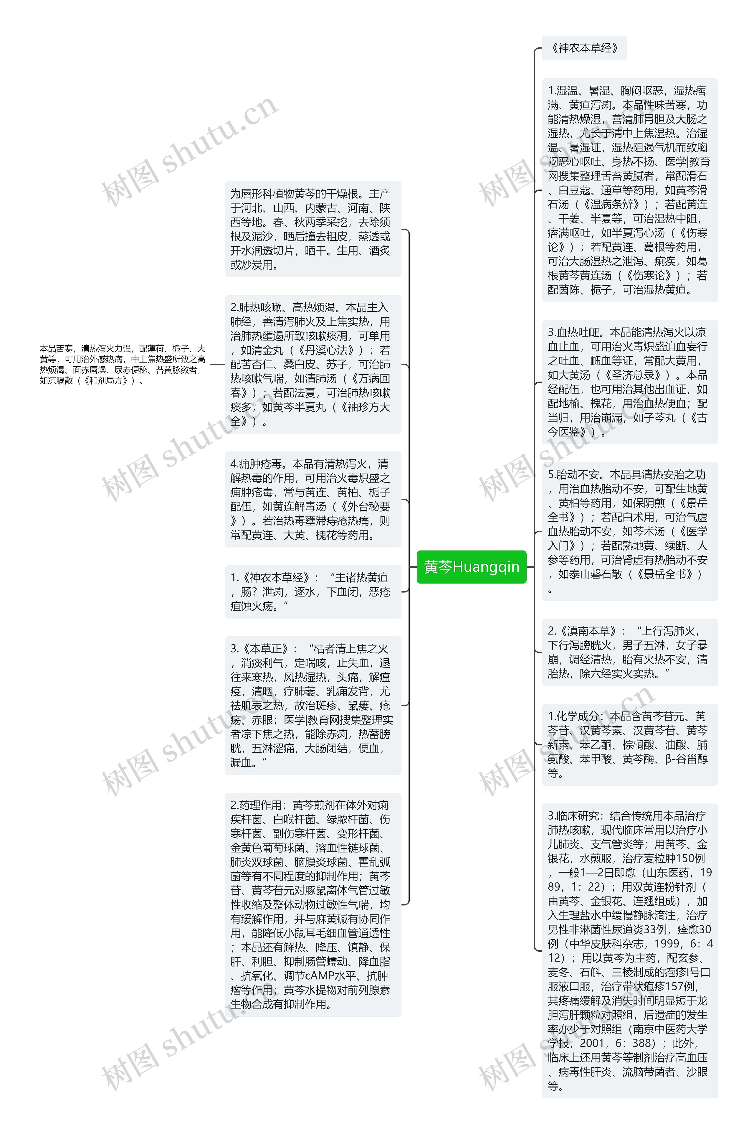 黄芩Huangqin思维导图