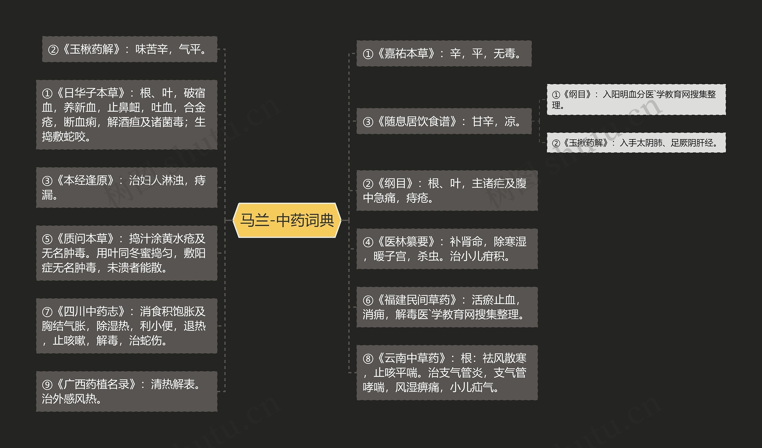 马兰-中药词典思维导图