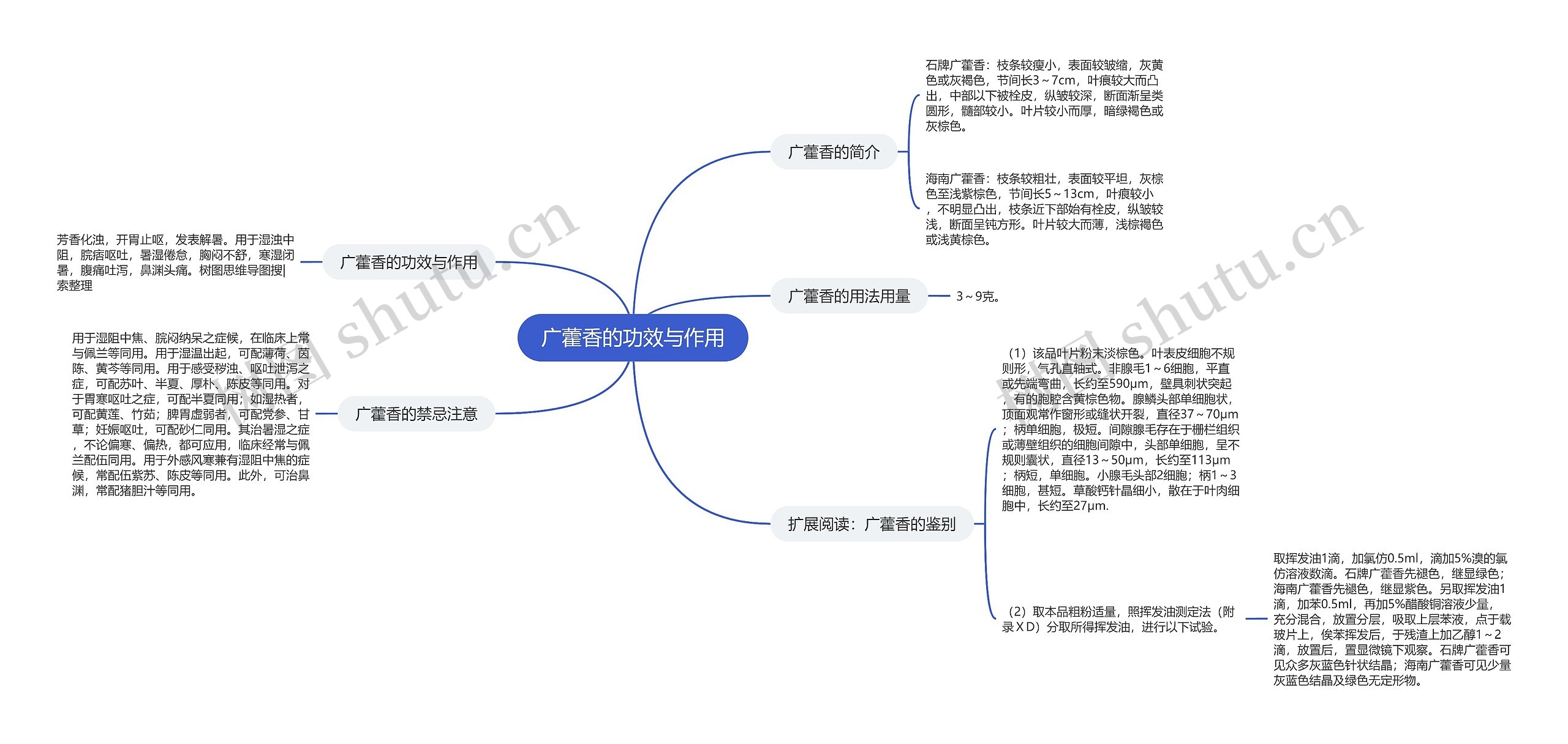 广藿香的功效与作用思维导图