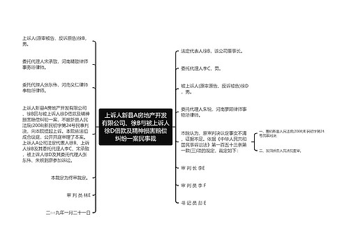 上诉人新县A房地产开发有限公司、徐B与被上诉人徐D借款及精神损害赔偿纠纷一案民事裁