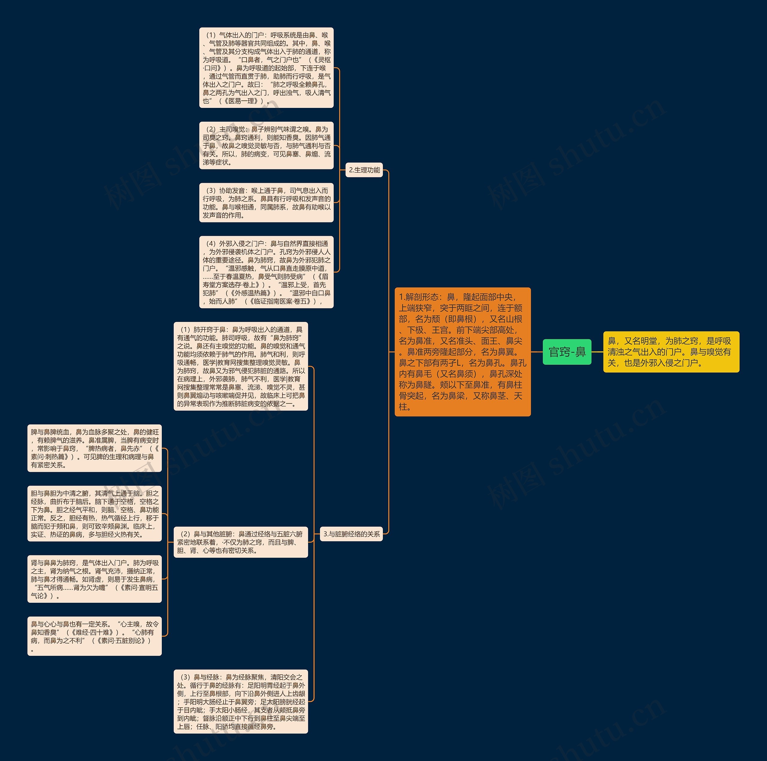 官窍-鼻 官窍-鼻