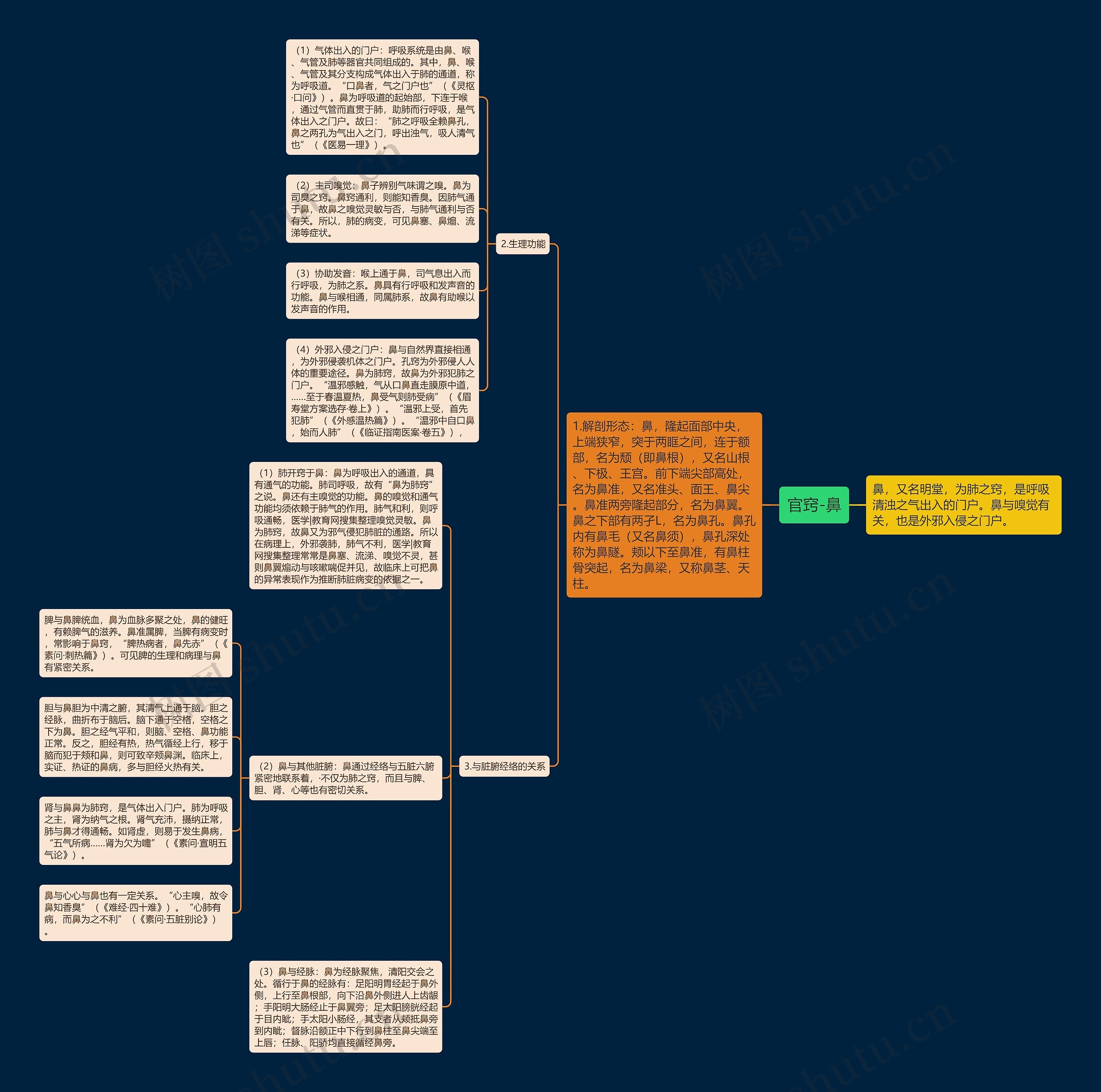 官窍-鼻思维导图