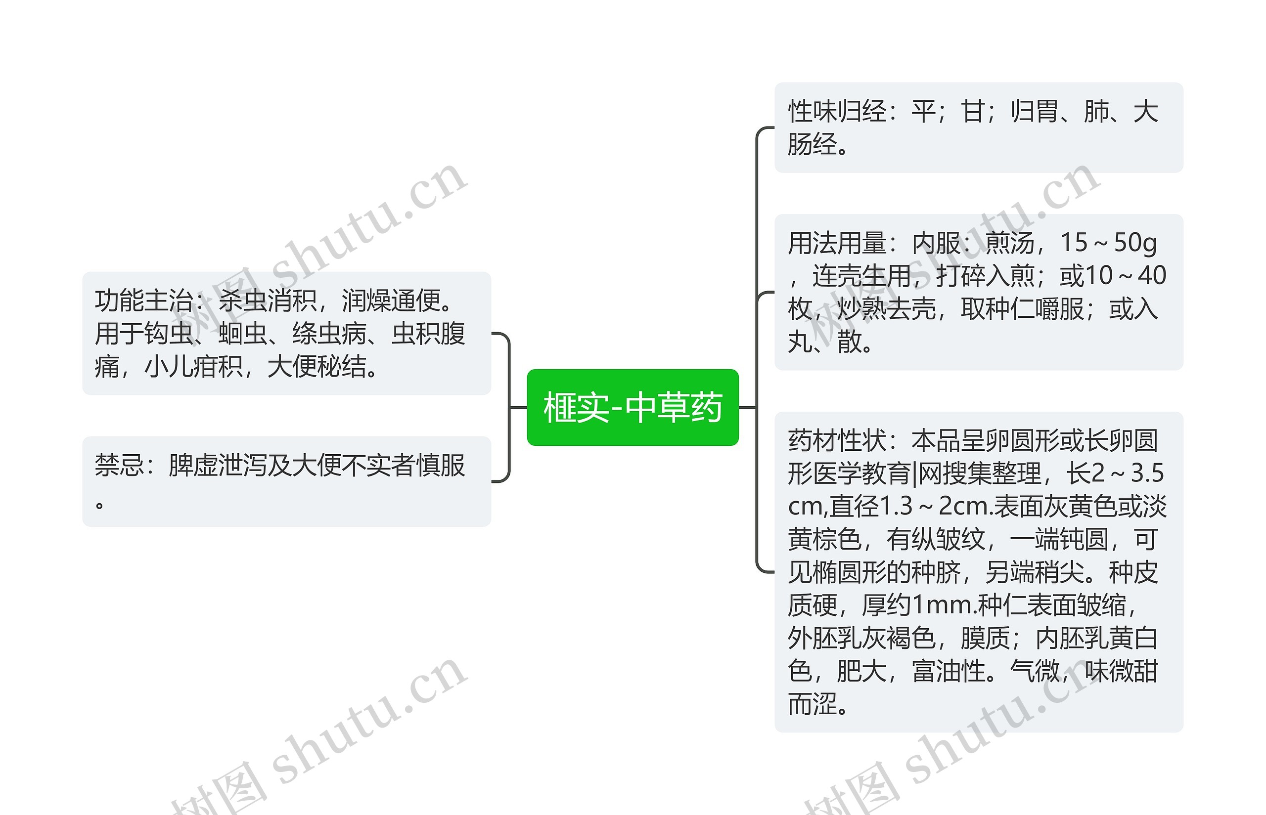 榧实-中草药思维导图