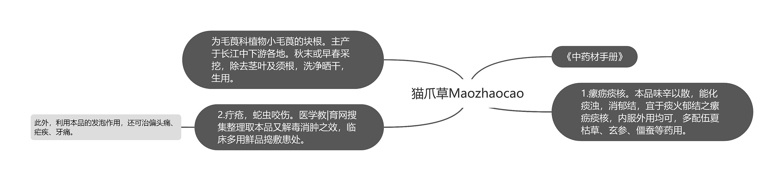 猫爪草Maozhaocao思维导图