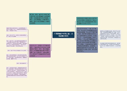 广西网瘾少年死亡案：父母获赔100万