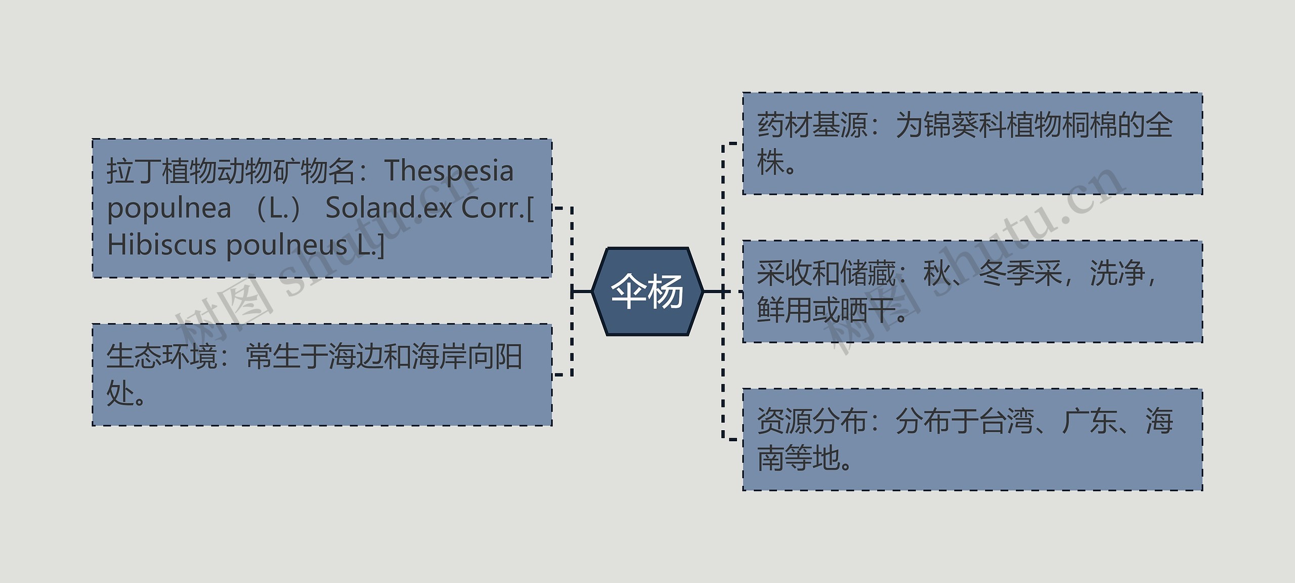 伞杨思维导图