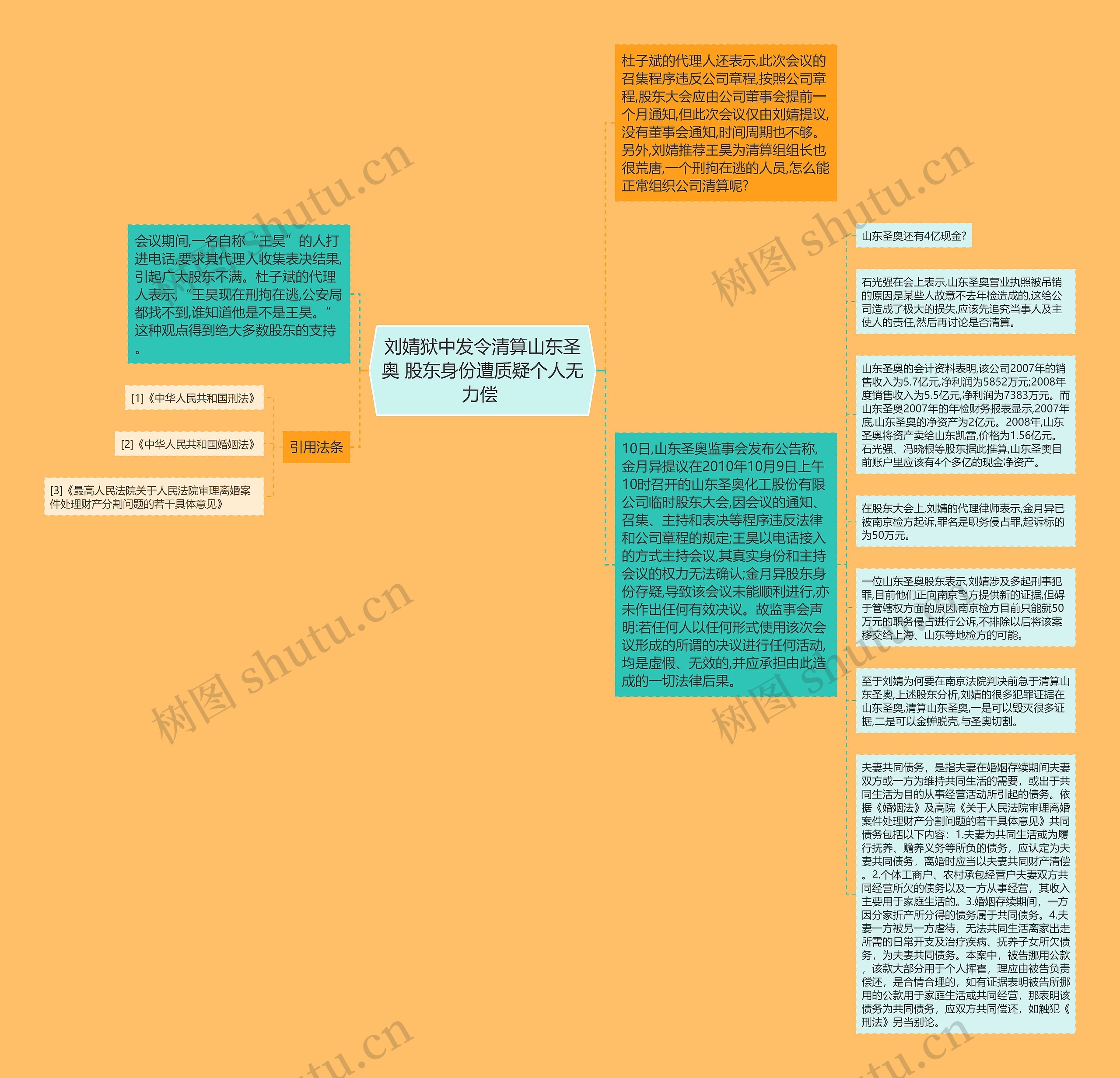 刘婧狱中发令清算山东圣奥 股东身份遭质疑个人无力偿 思维导图