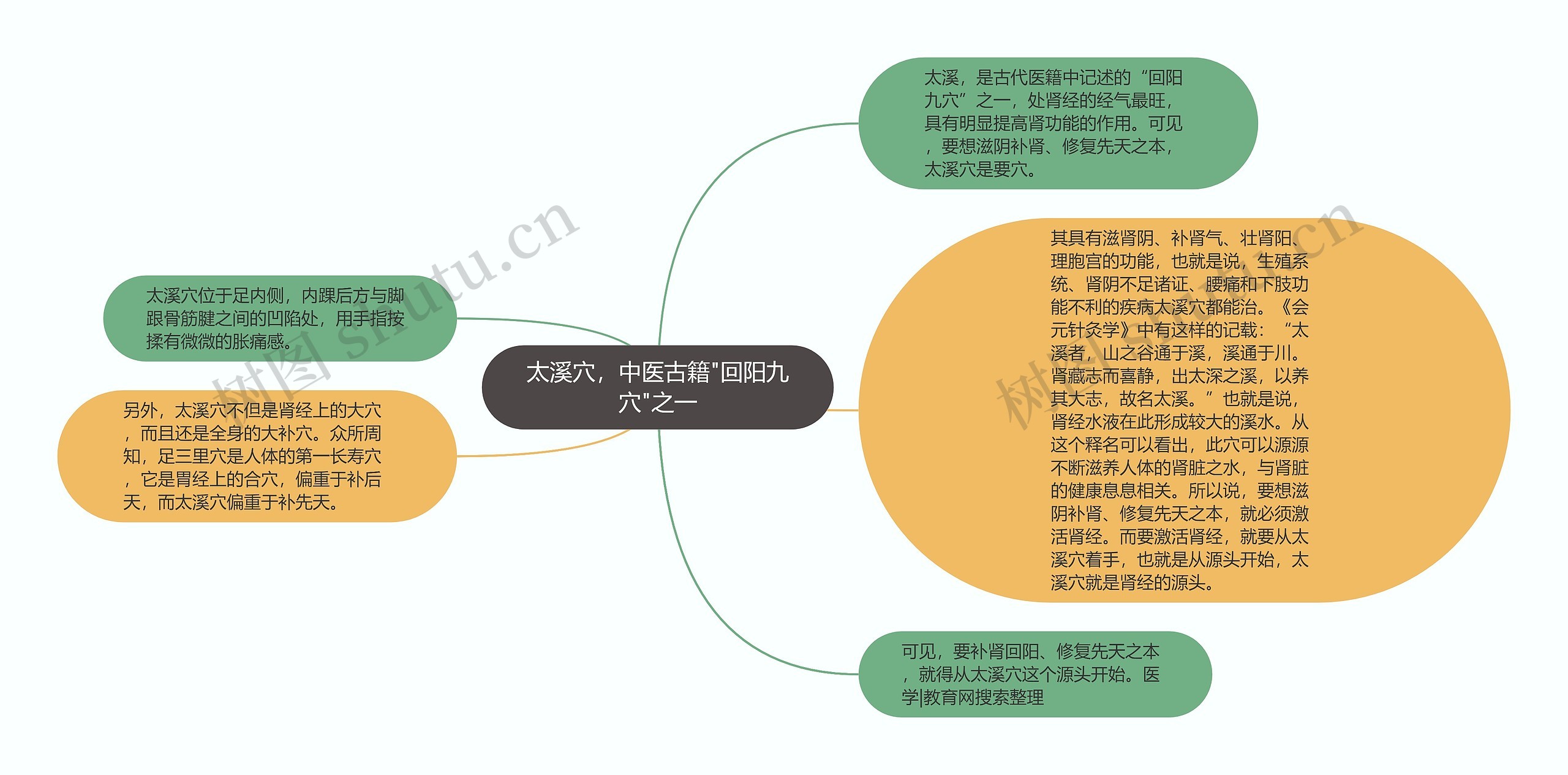 太溪穴，中医古籍"回阳九穴"之一思维导图