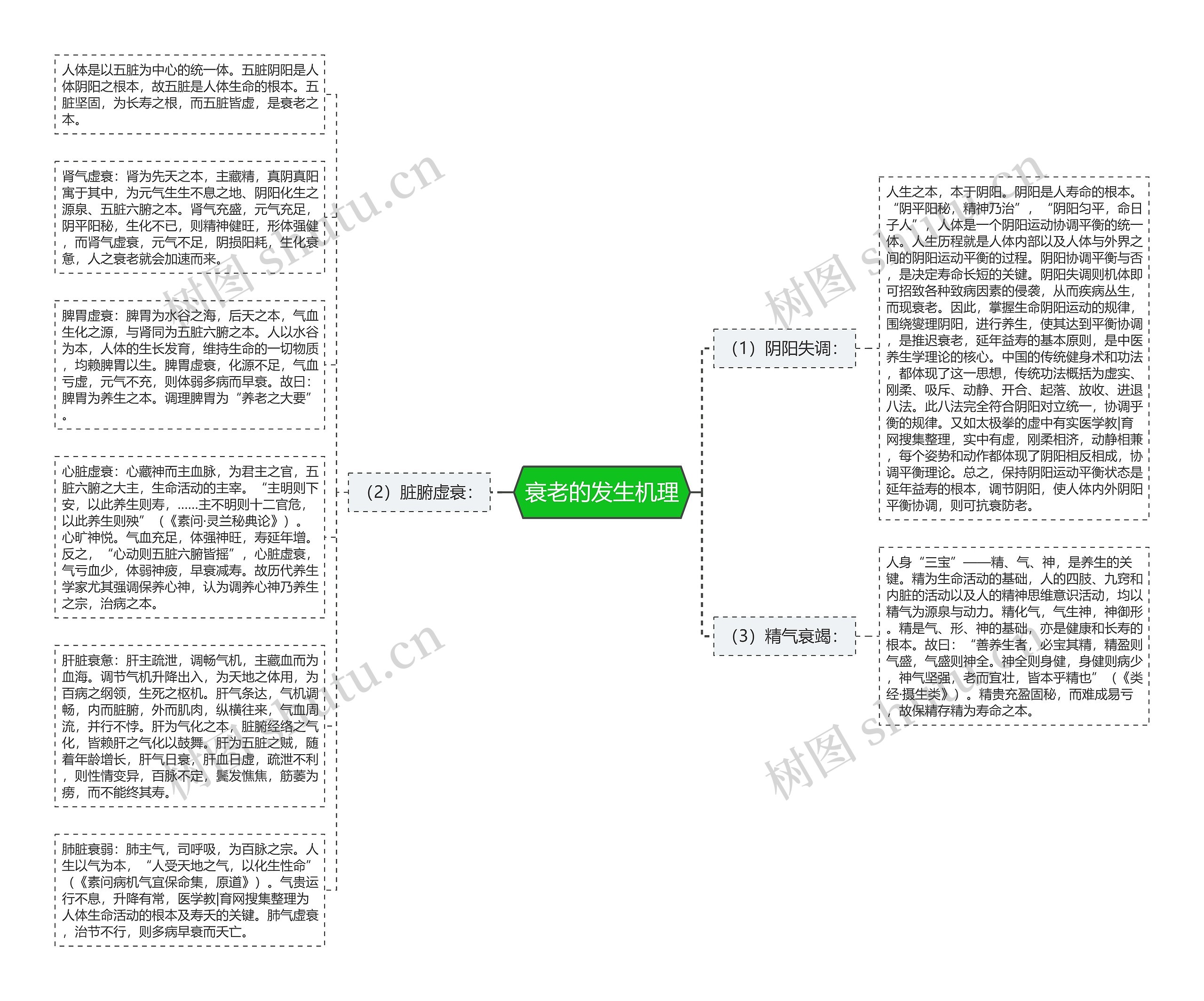 衰老的发生机理思维导图