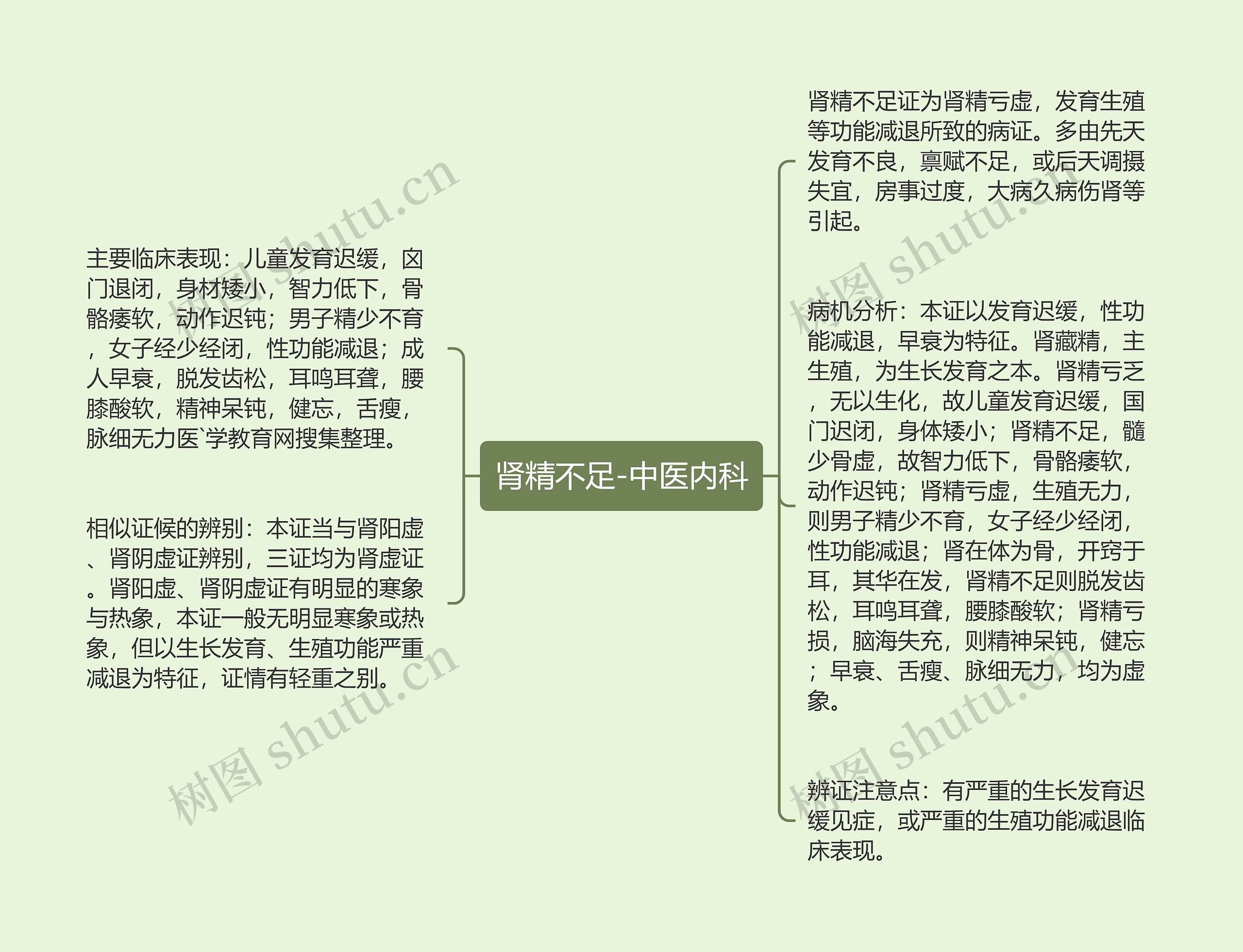 肾精不足-中医内科思维导图