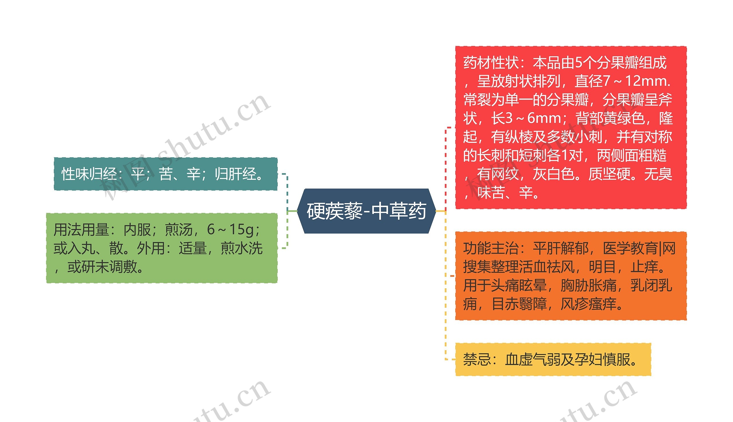 硬蒺藜-中草药思维导图