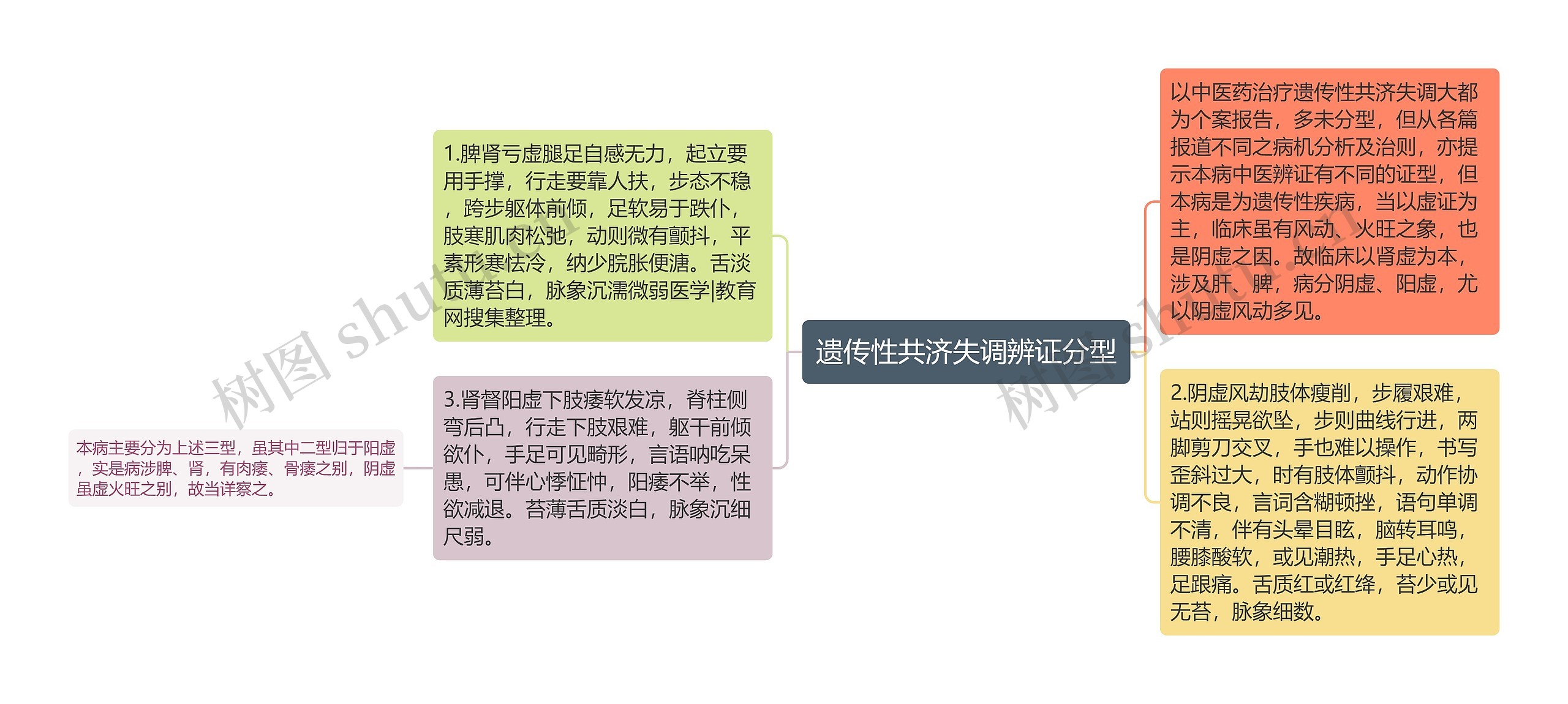 遗传性共济失调辨证分型思维导图