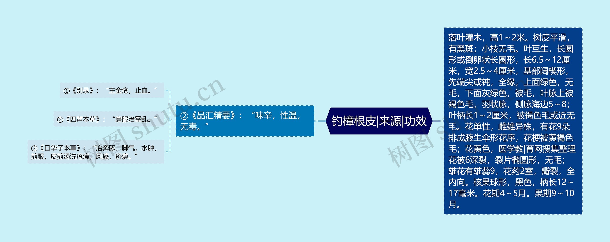 钓樟根皮|来源|功效 钓樟根皮|来源|功效