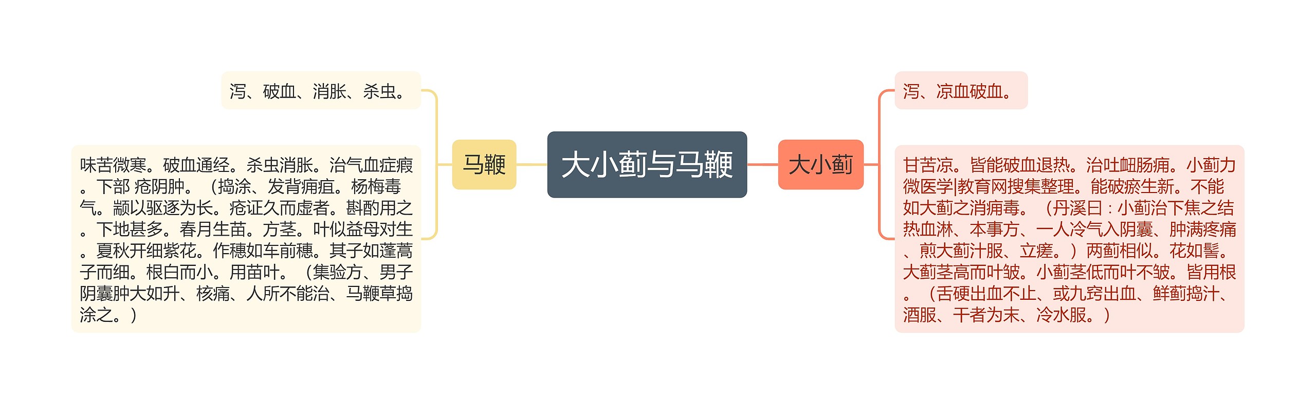 大小蓟与马鞭 大小蓟与马鞭