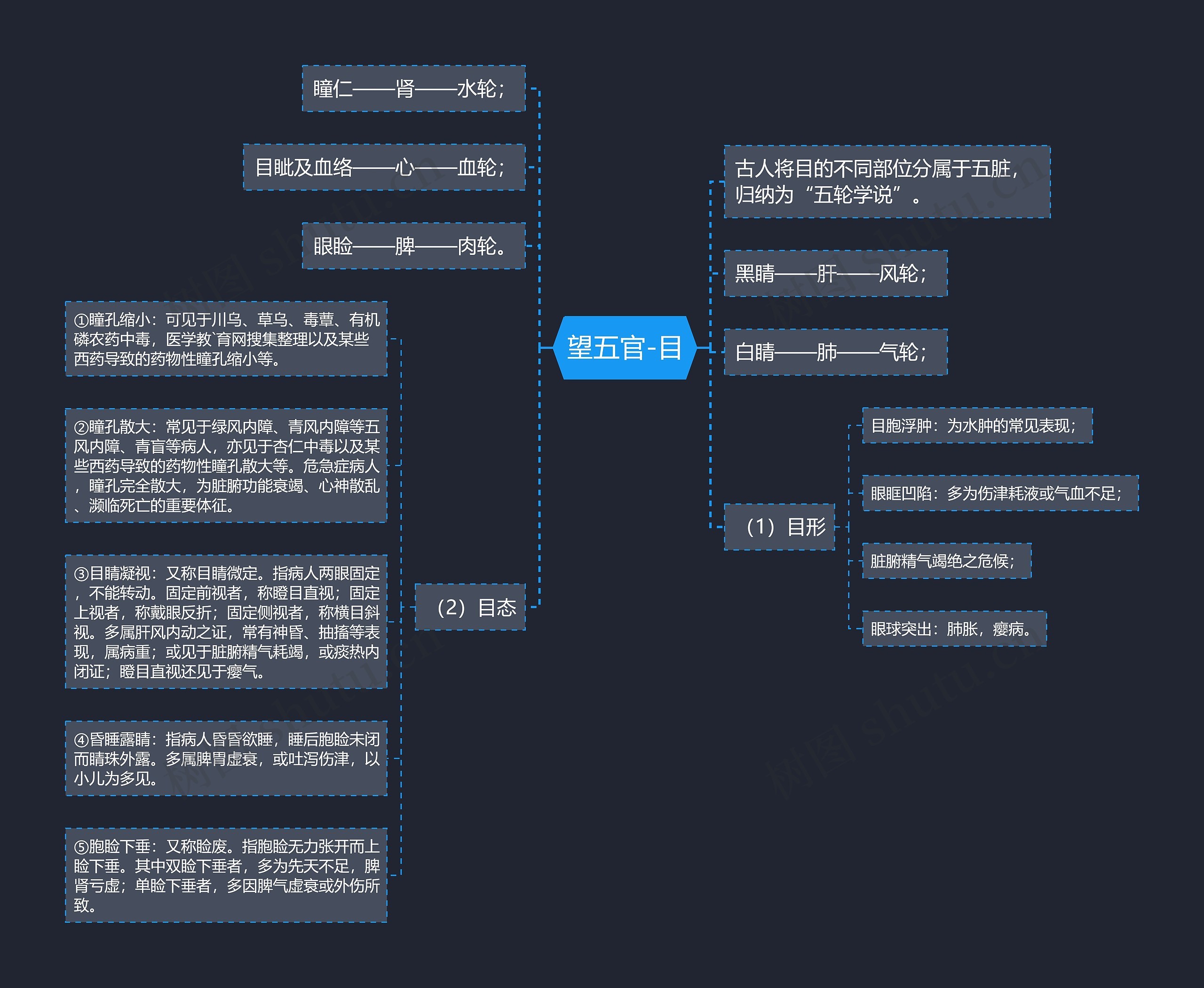 望五官-目 望五官-目
