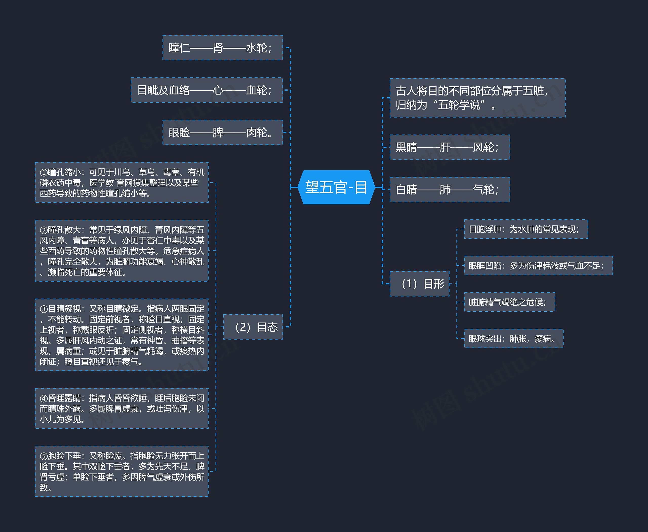 望五官-目思维导图