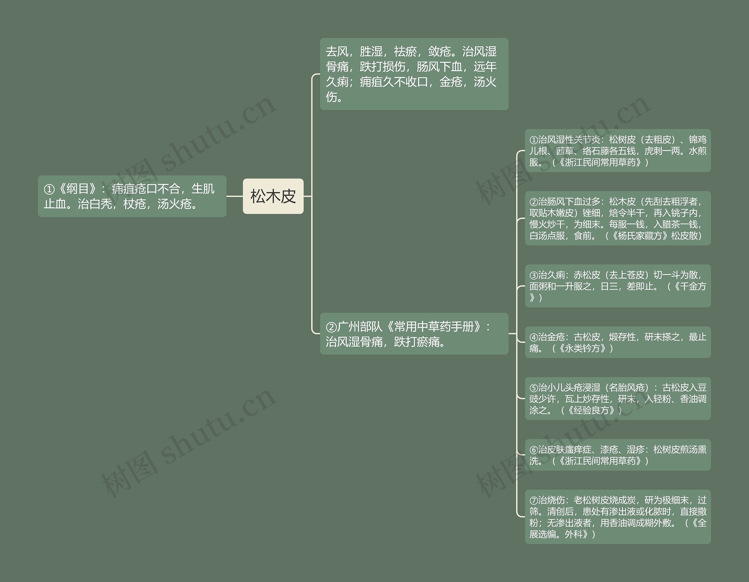 松木皮思维导图