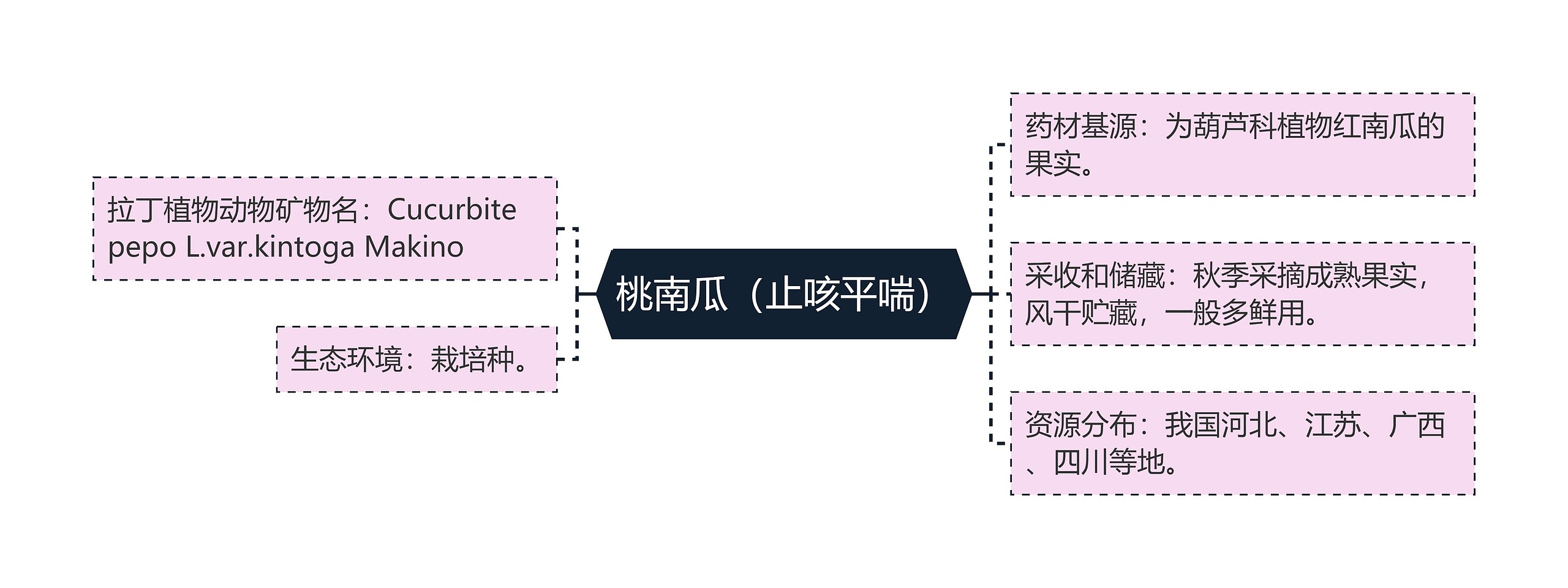 桃南瓜（止咳平喘）思维导图