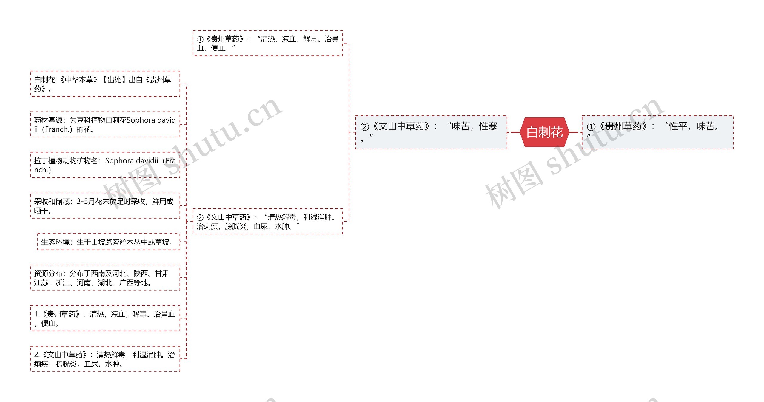 白刺花思维导图