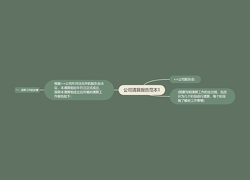 公司清算报告范本1