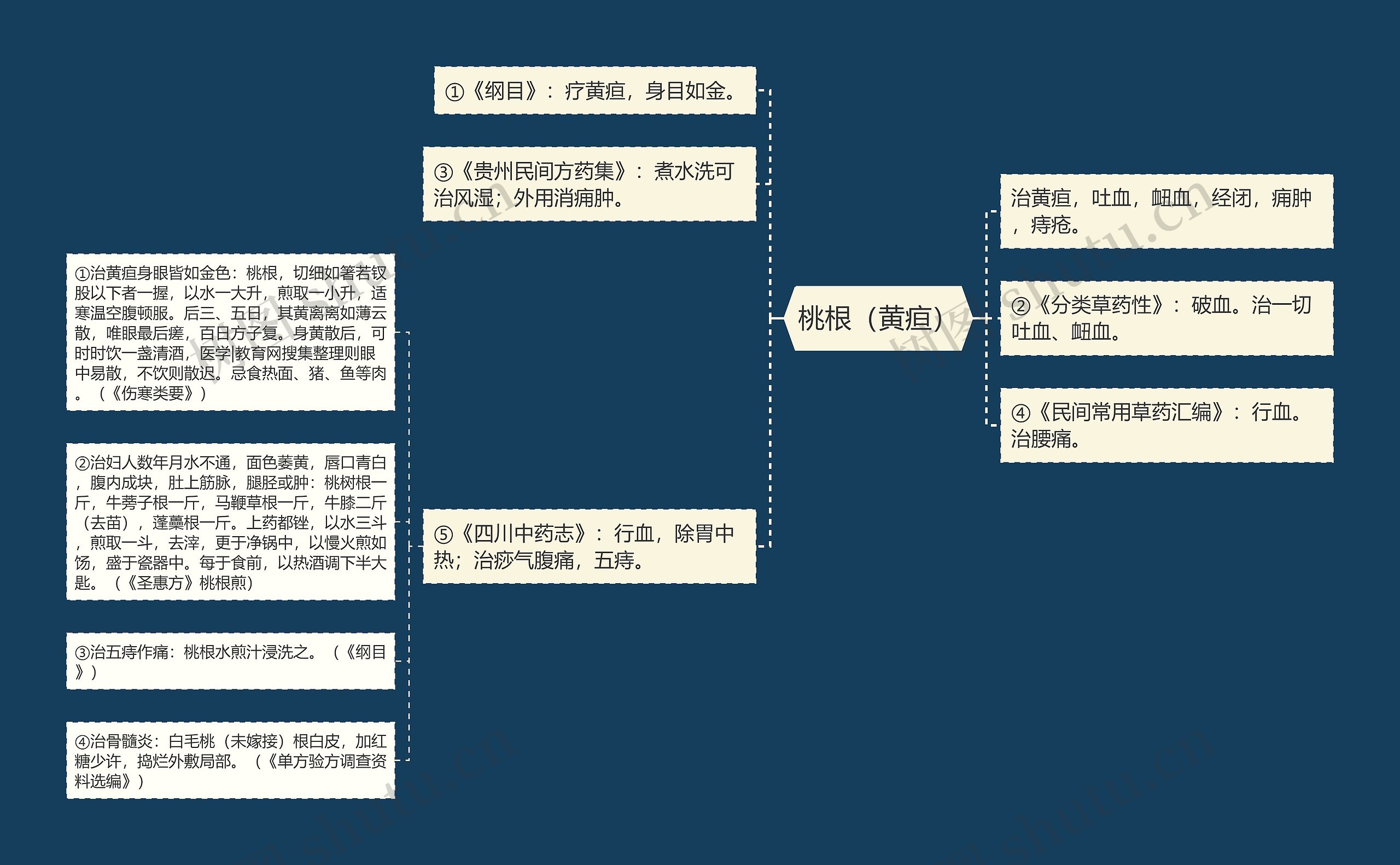 桃根（黄疸）思维导图