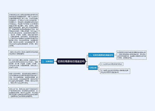 轻微伤需要做伤情鉴定吗