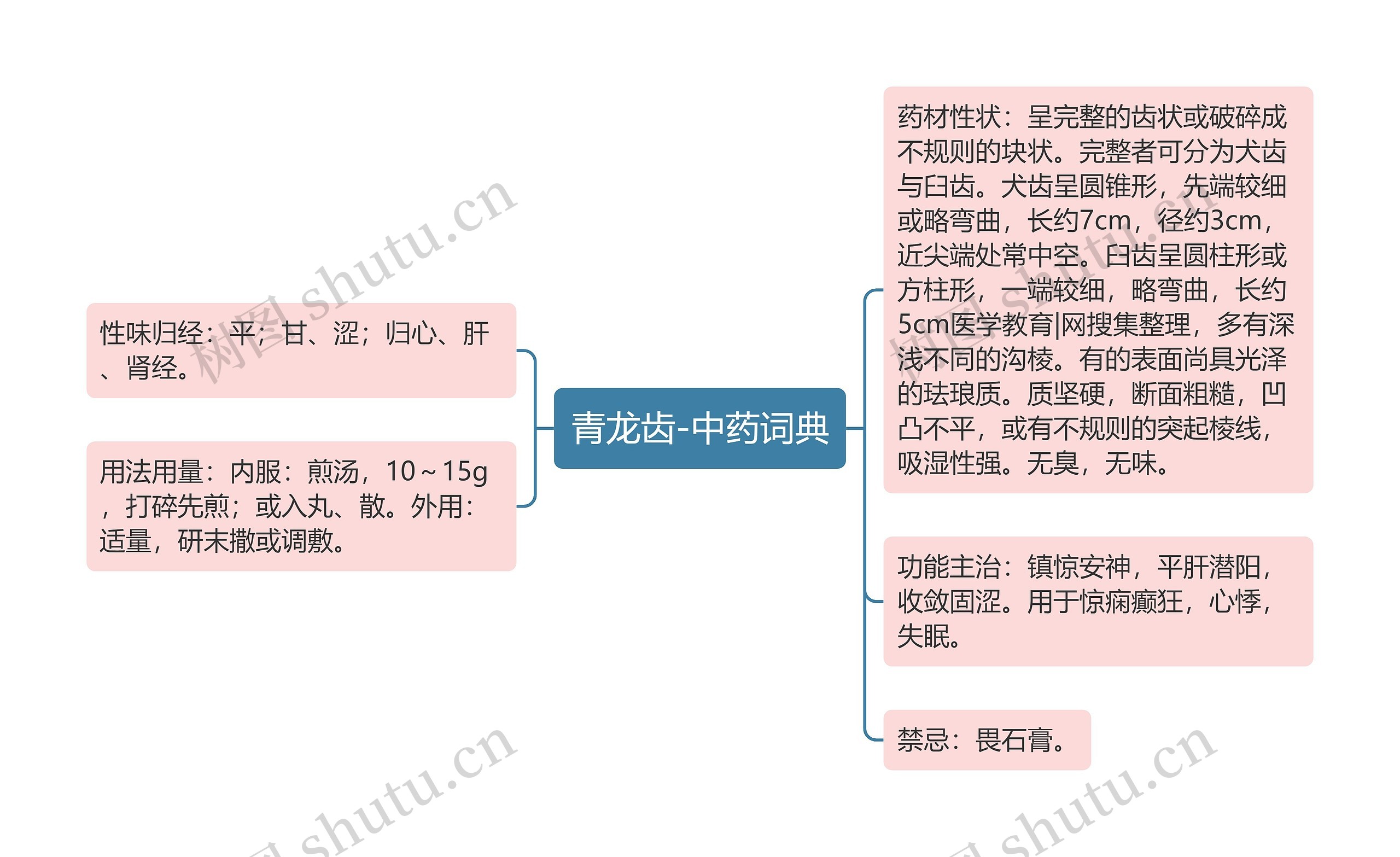 青龙齿-中药词典思维导图