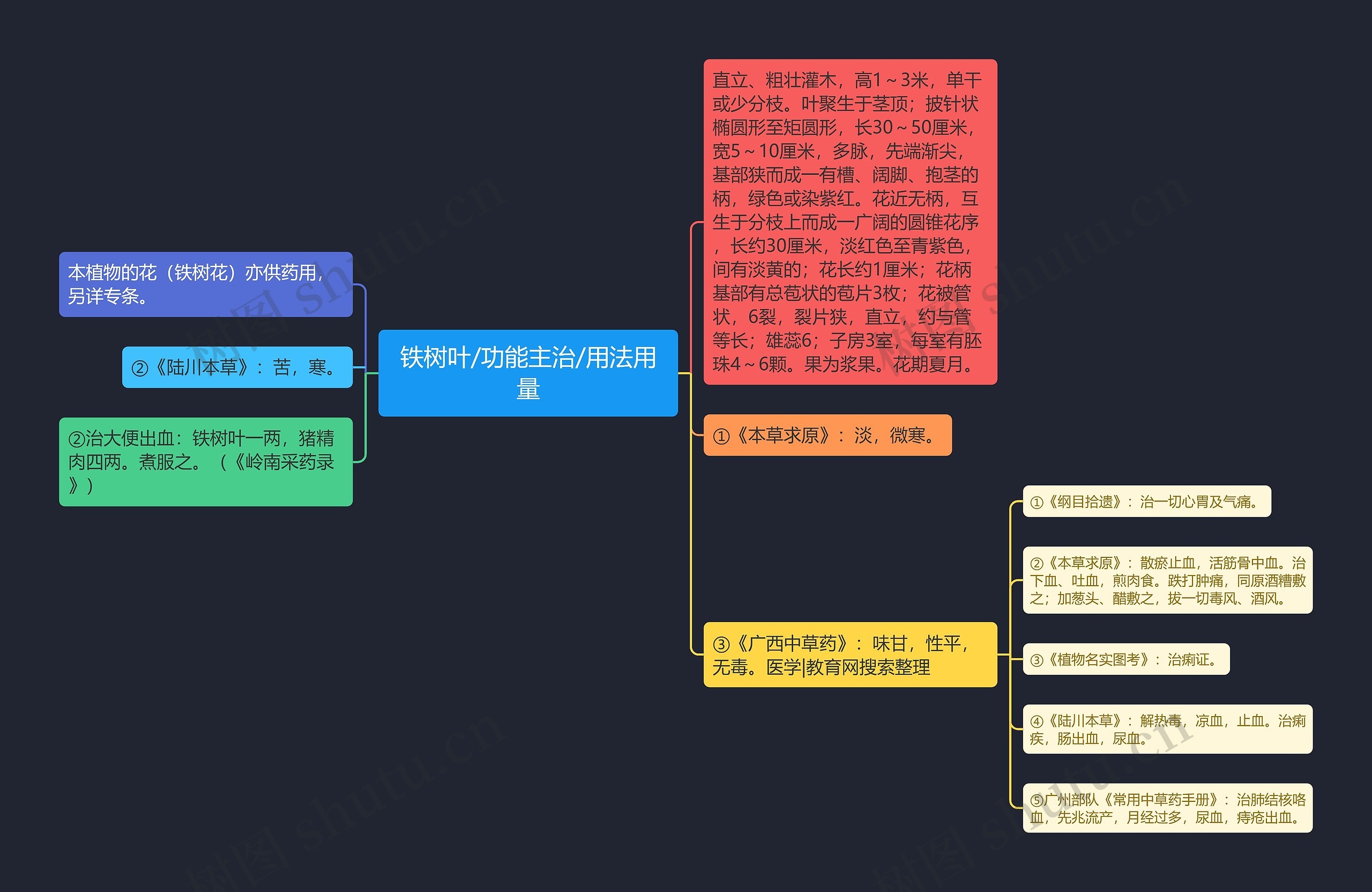 铁树叶/功能主治/用法用量思维导图