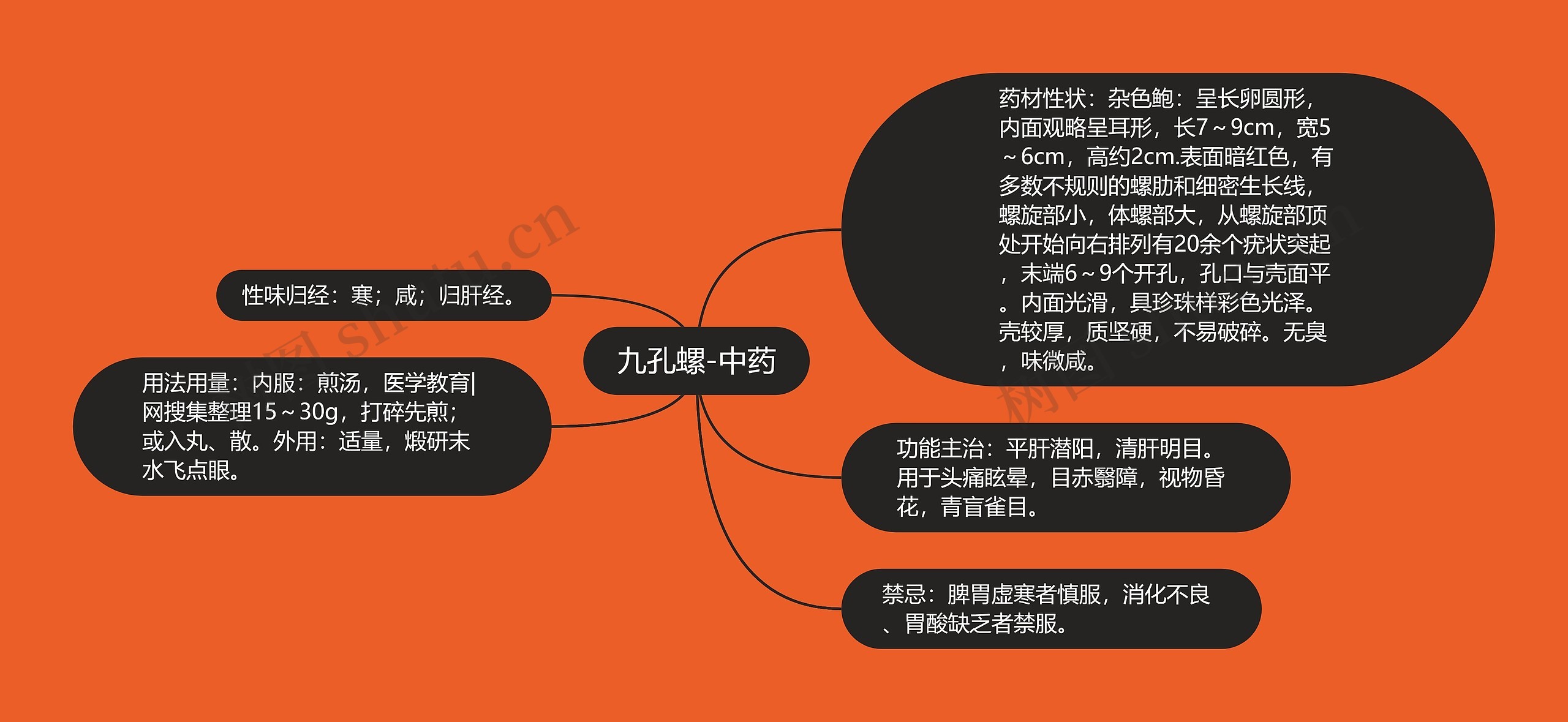 九孔螺-中药 九孔螺-中药