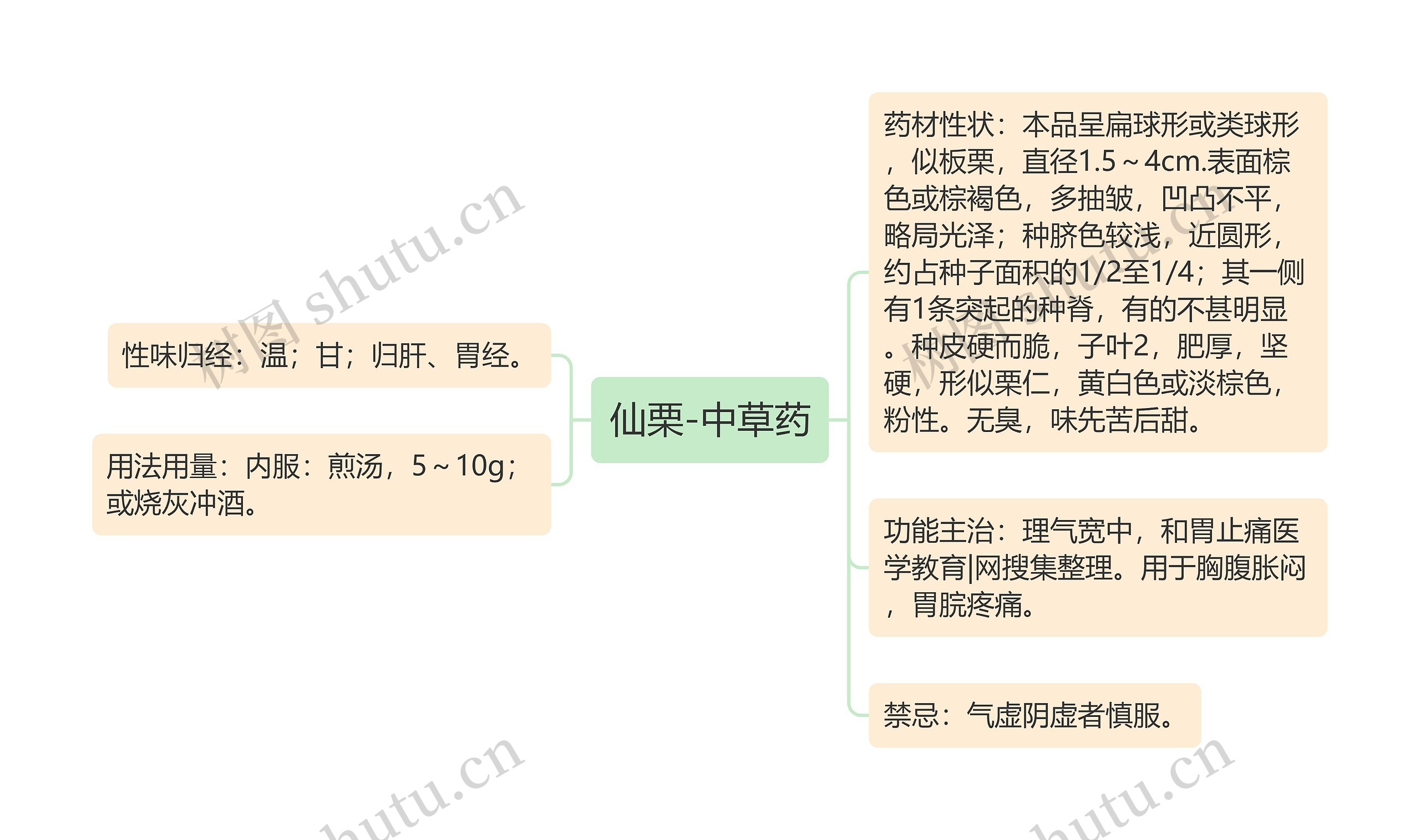仙栗-中草药