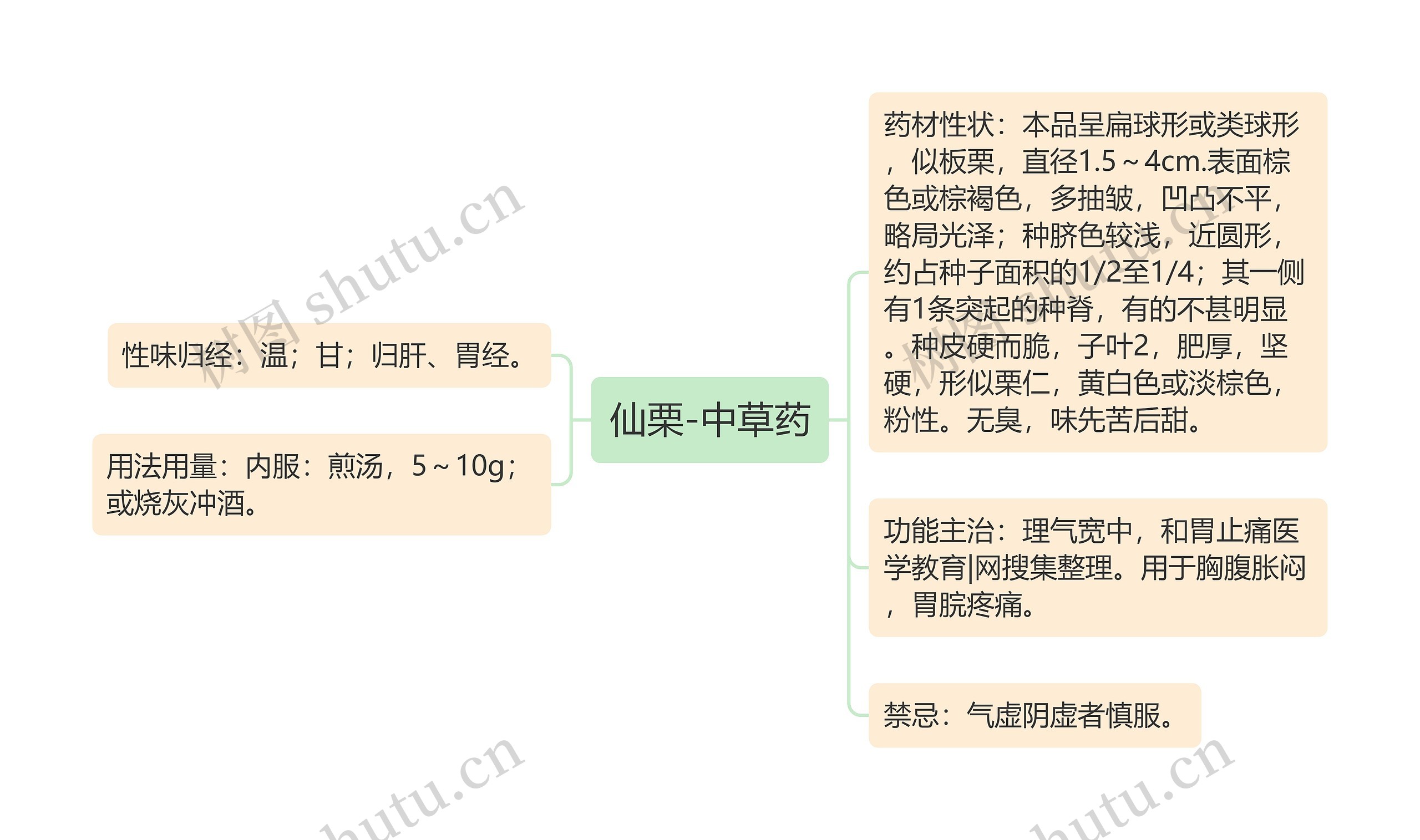 仙栗-中草药思维导图