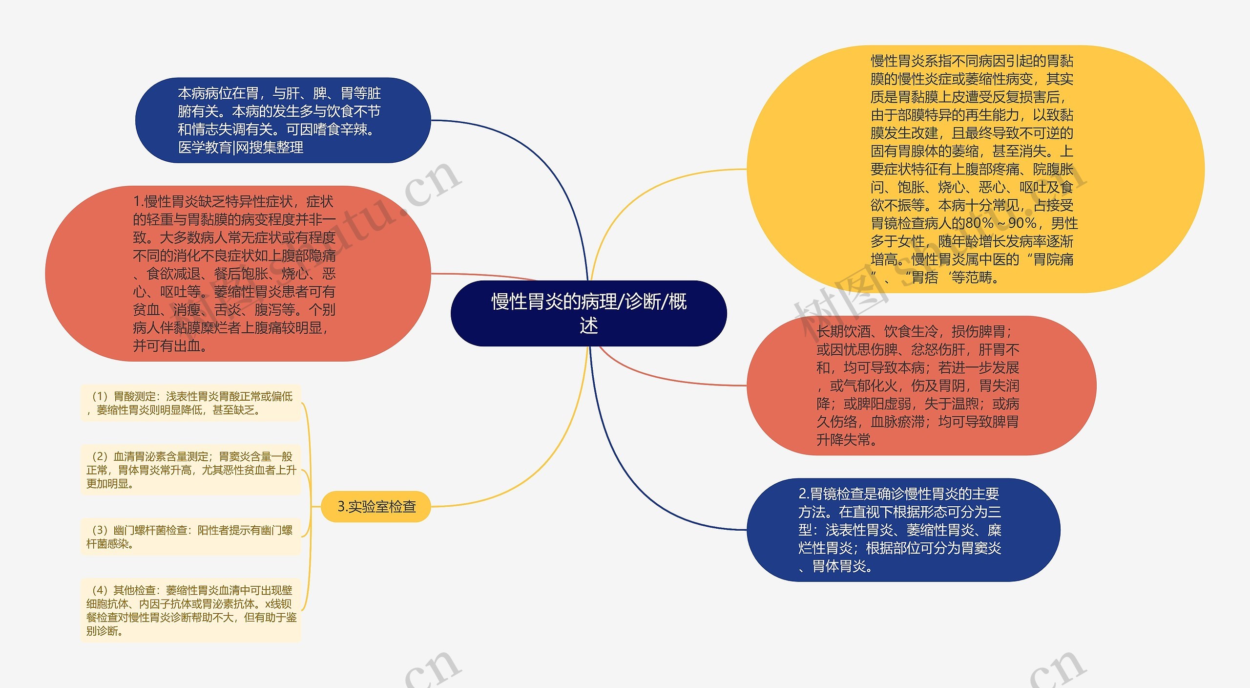 慢性胃炎的病理/诊断/概述思维导图