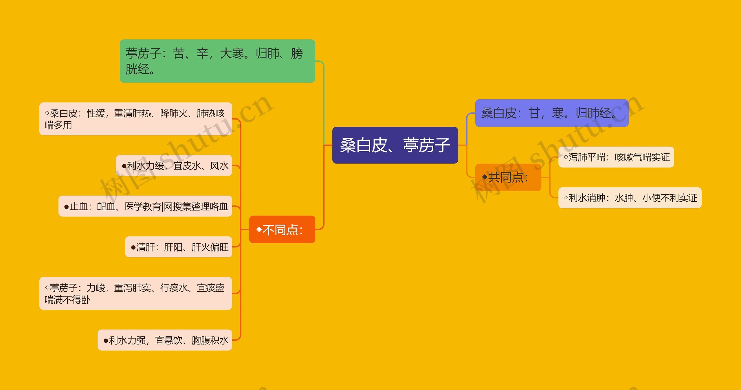 桑白皮、葶苈子思维导图