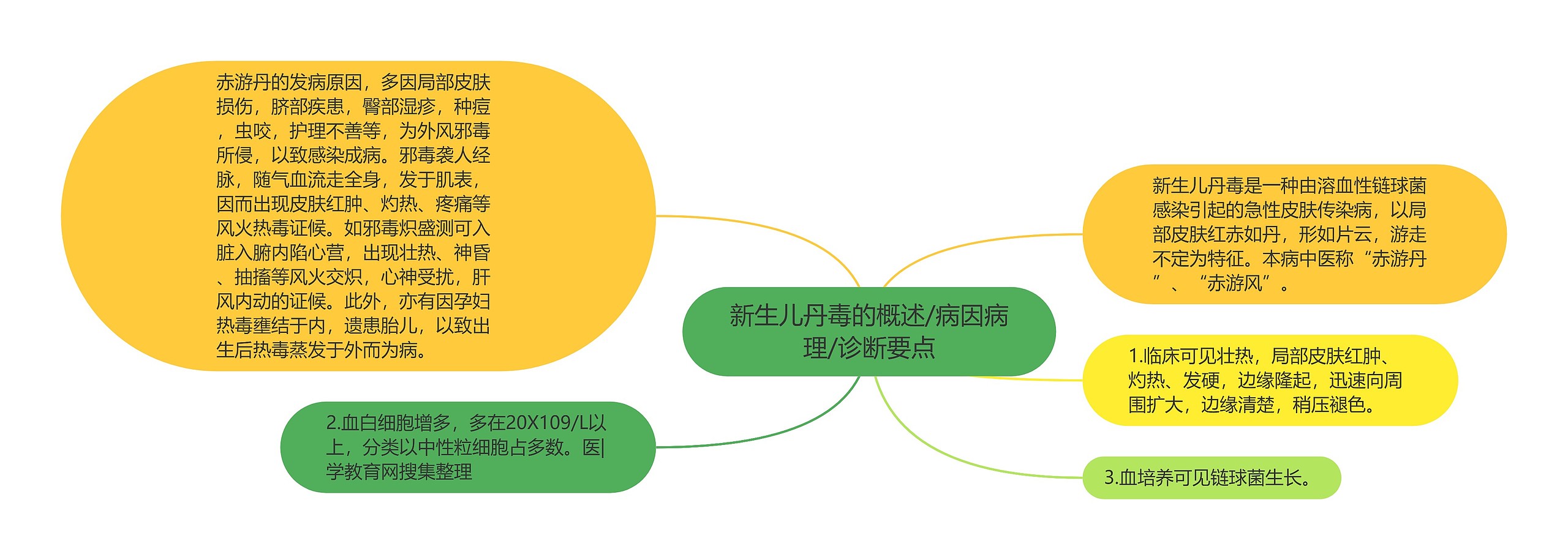 新生儿丹毒的概述/病因病理/诊断要点