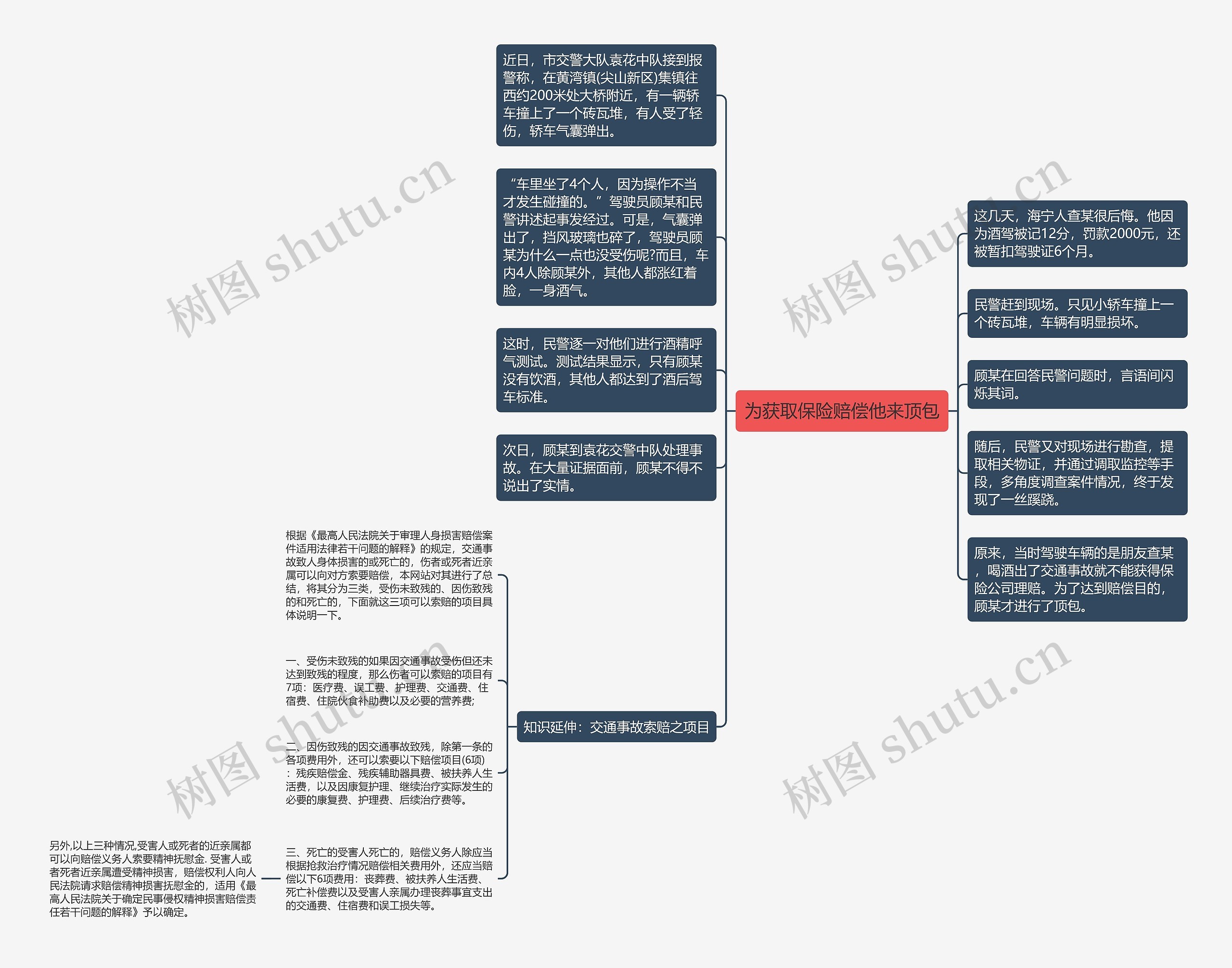 为获取保险赔偿他来顶包思维导图