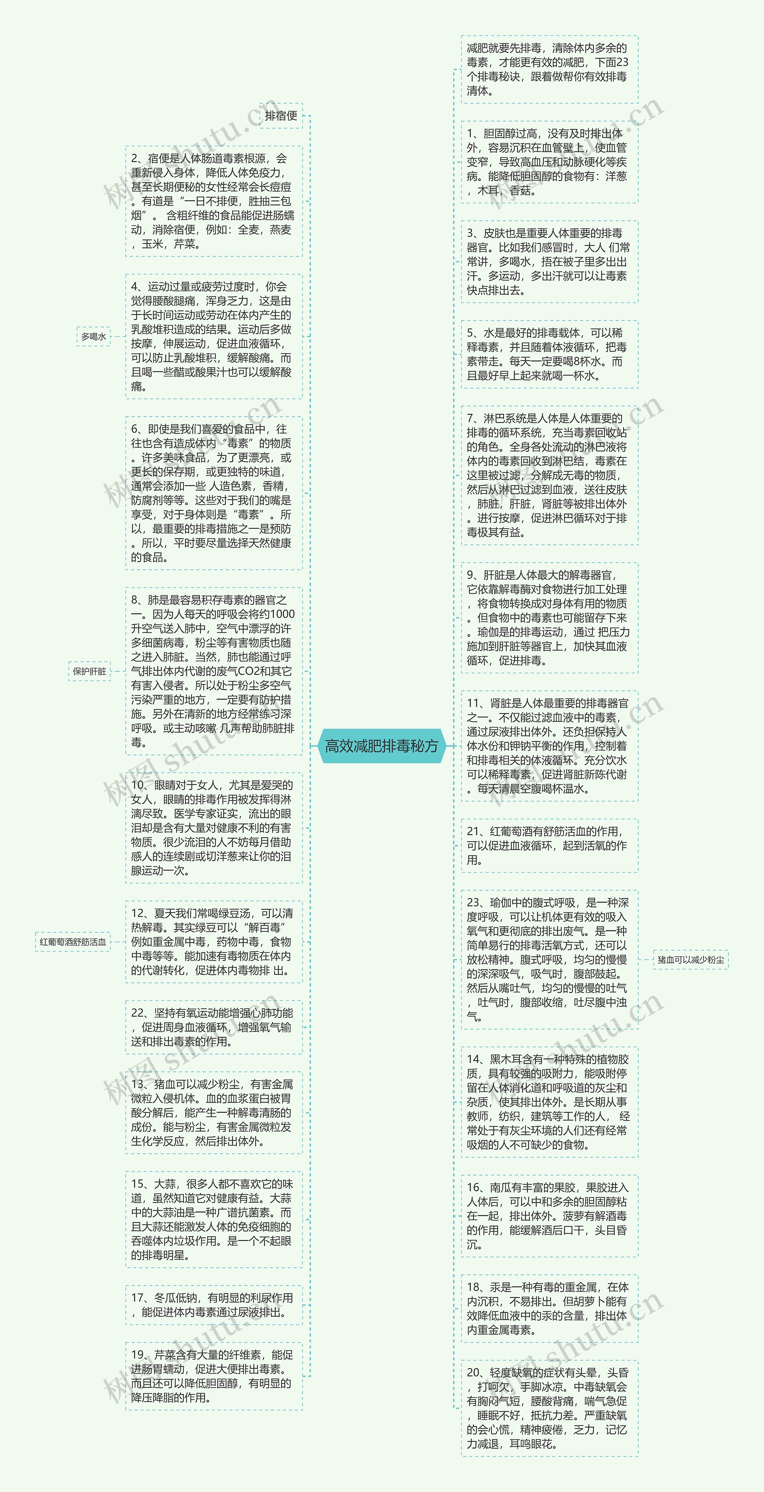 高效减肥排毒秘方