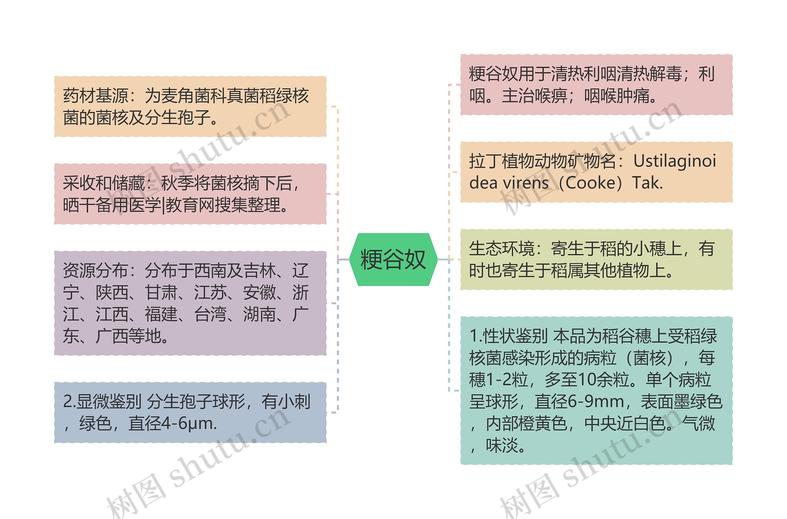粳谷奴