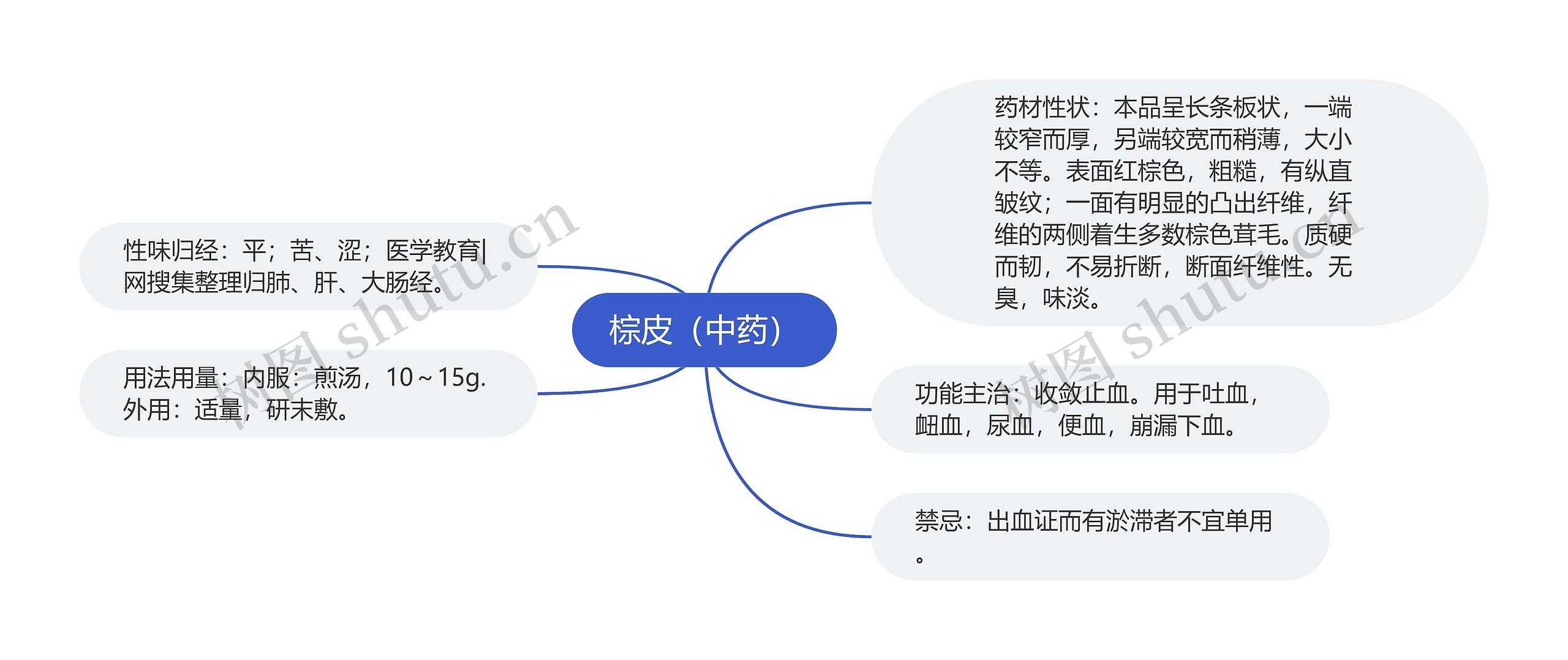 棕皮（中药）思维导图