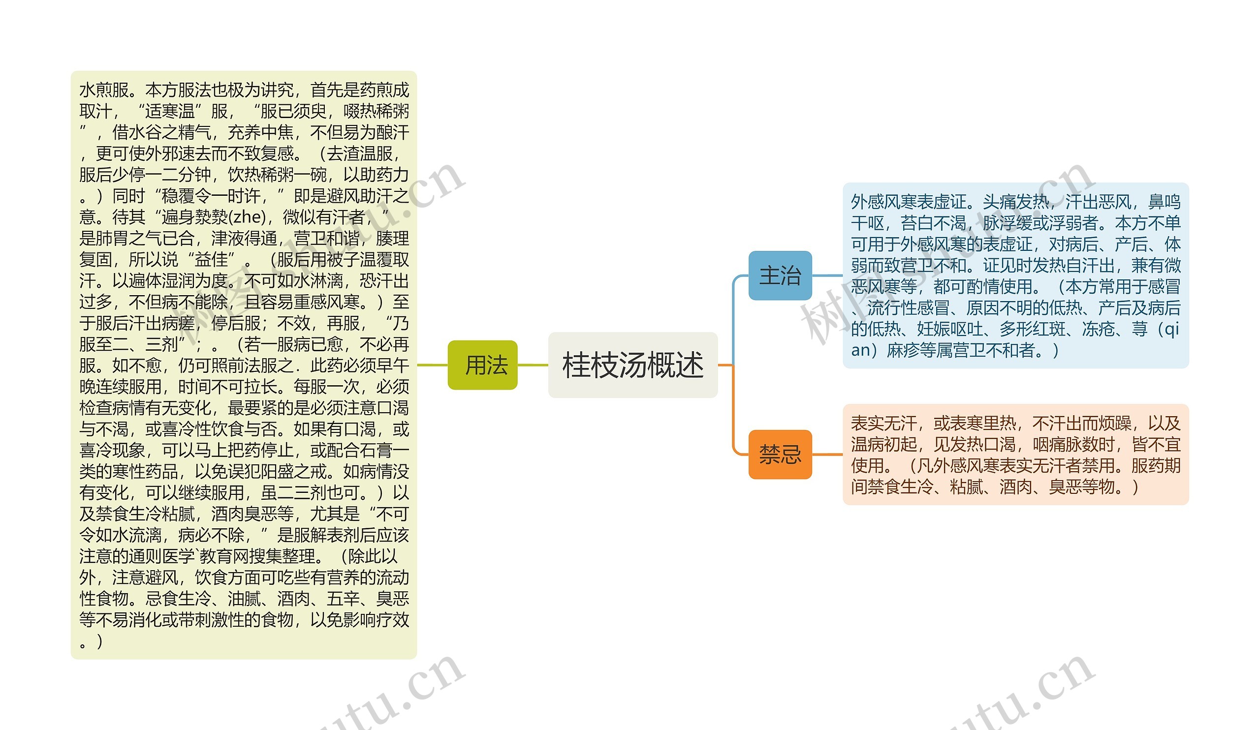 桂枝汤概述