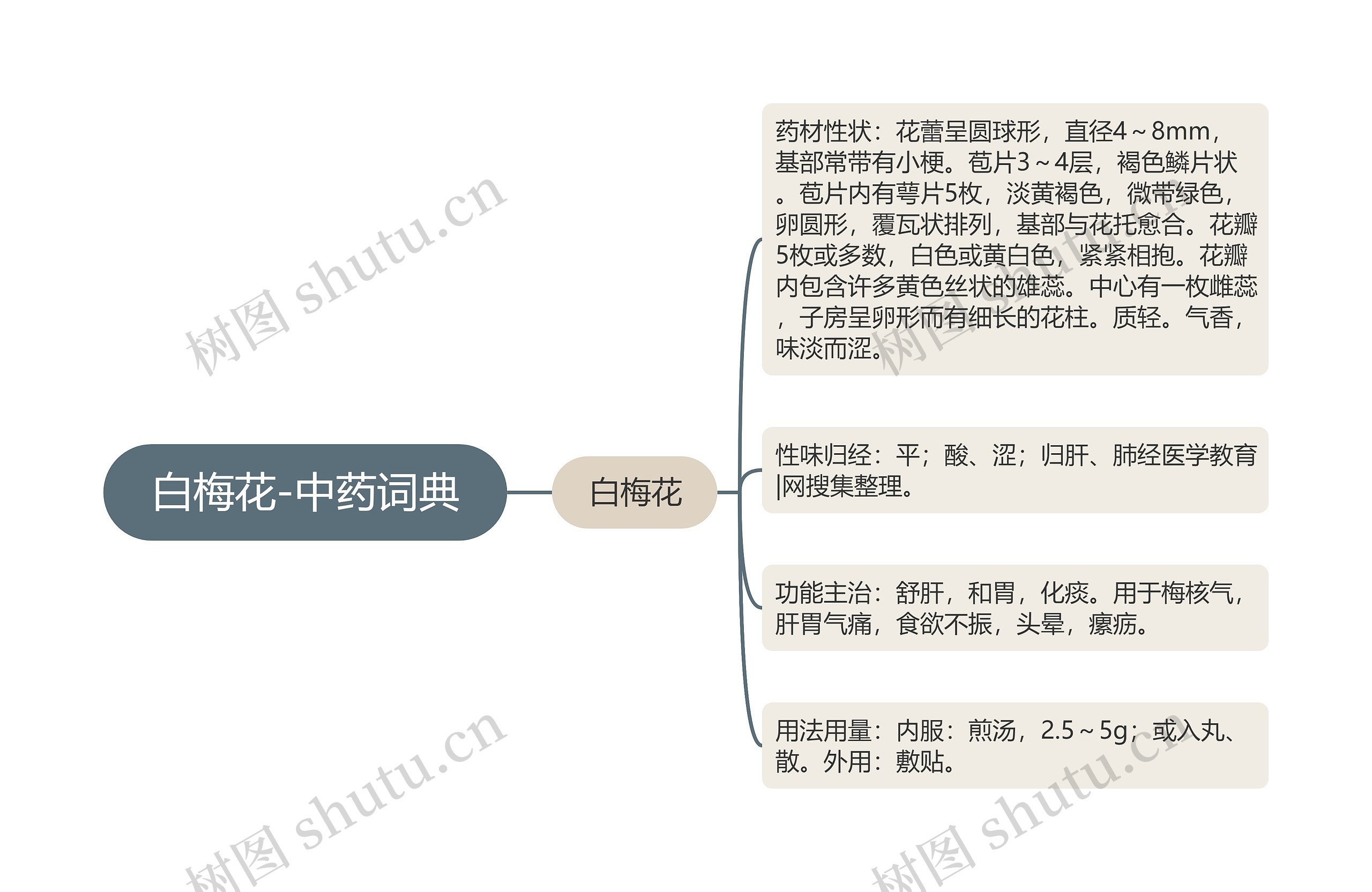 白梅花-中药词典 白梅花-中药词典