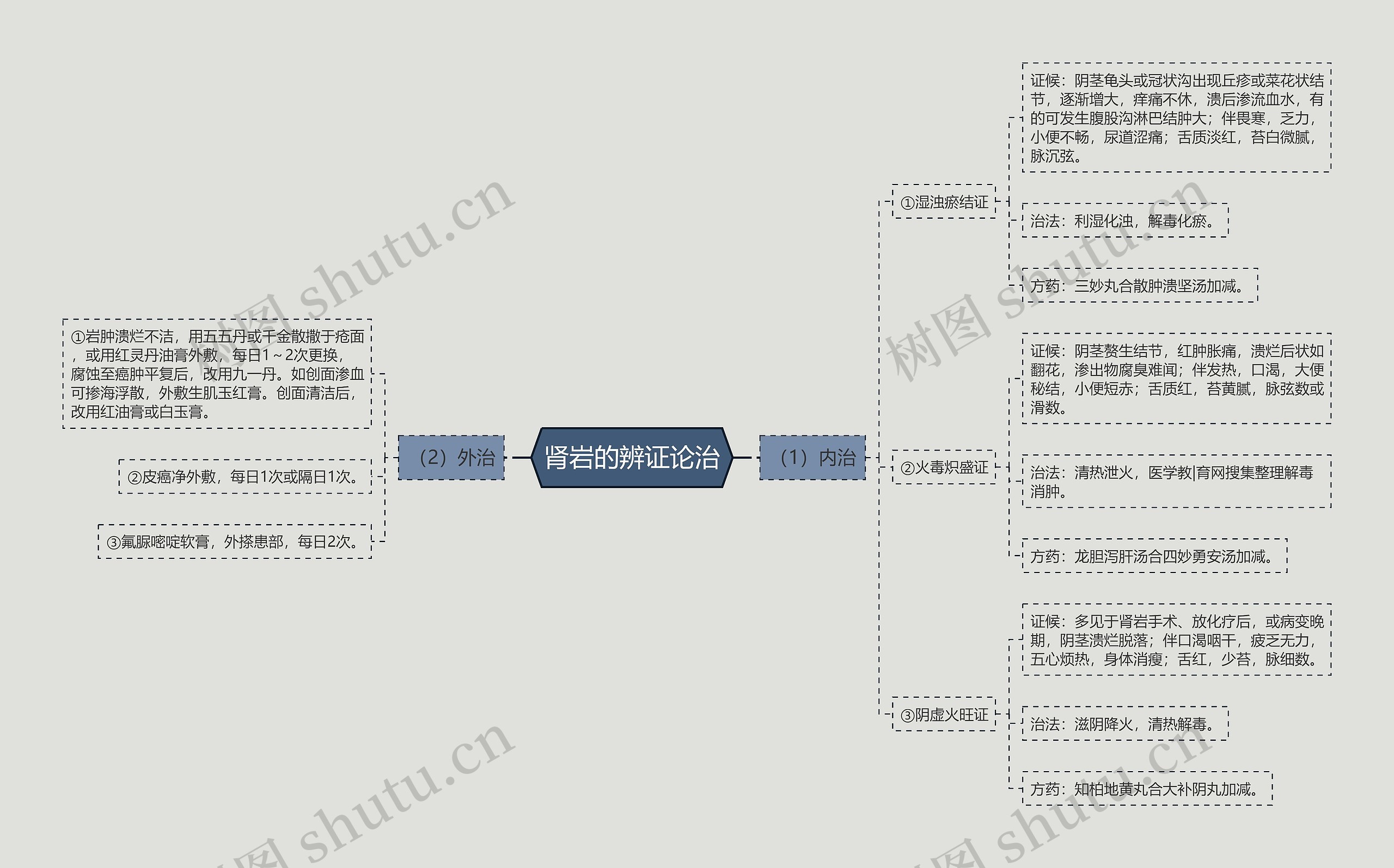 肾岩的辨证论治思维导图