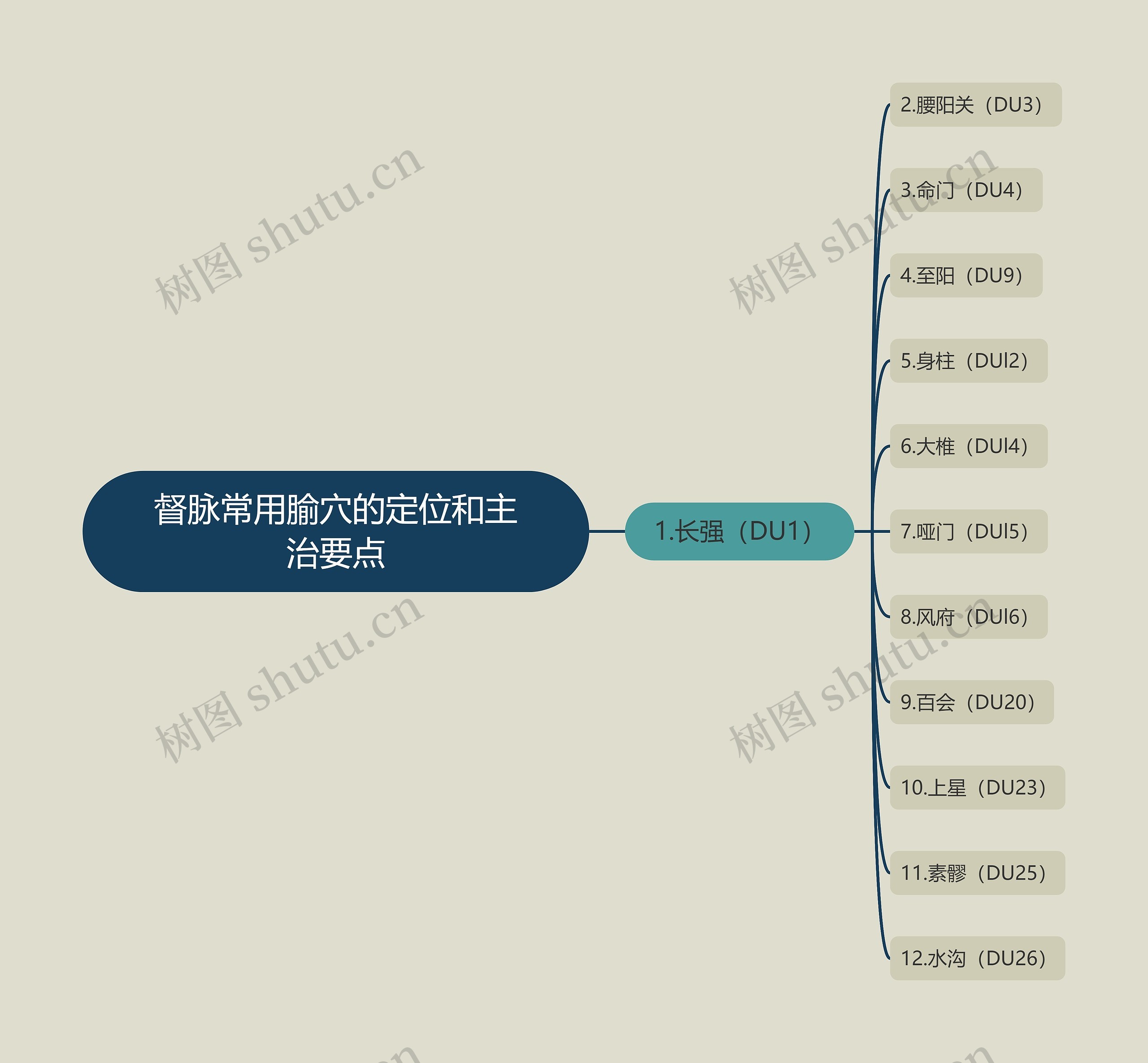 督脉常用腧穴的定位和主治要点思维导图