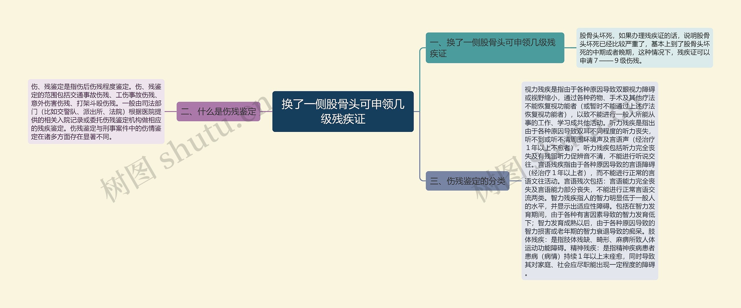 换了一侧股骨头可申领几级残疾证思维导图