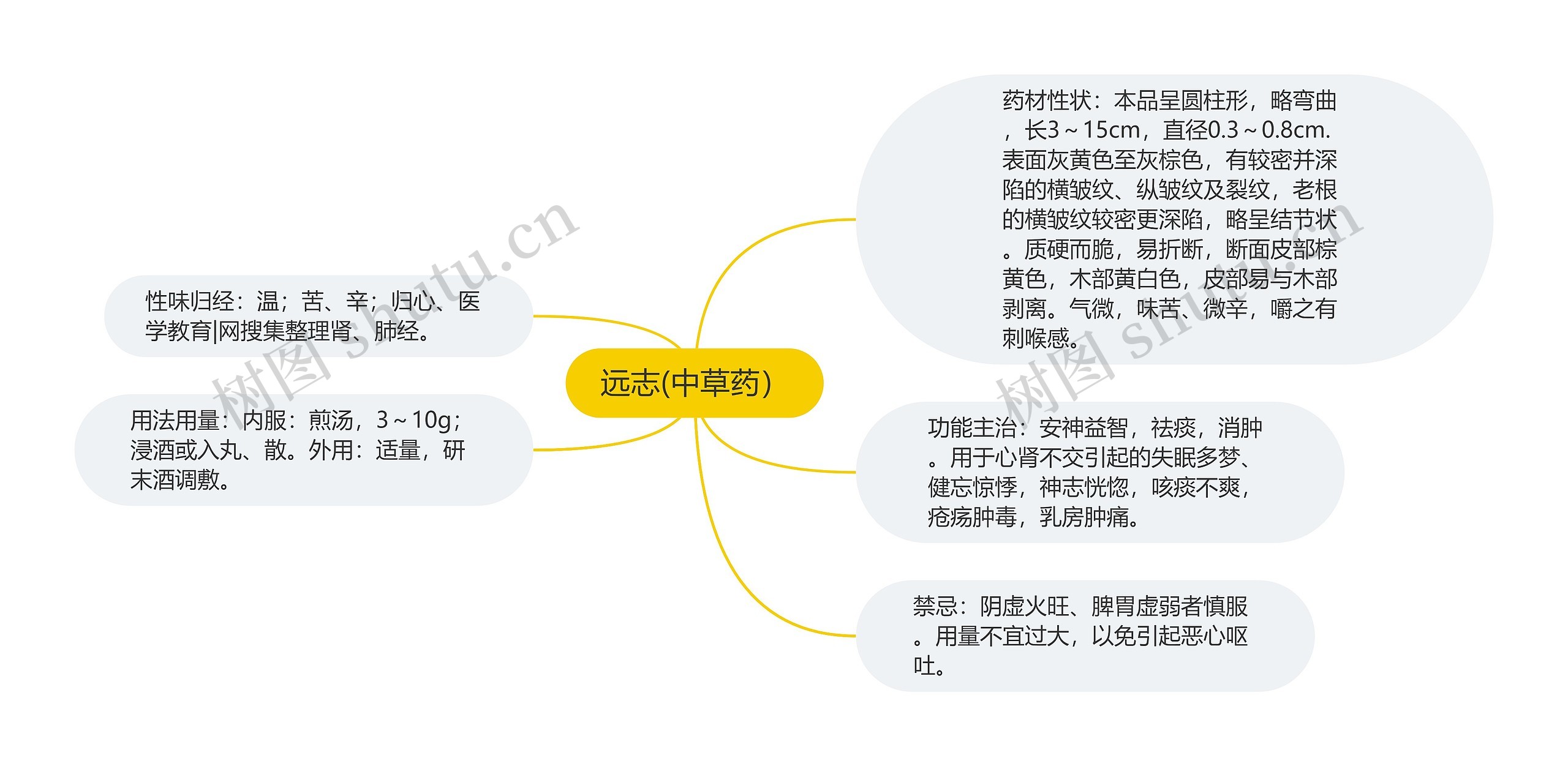 远志(中草药）思维导图