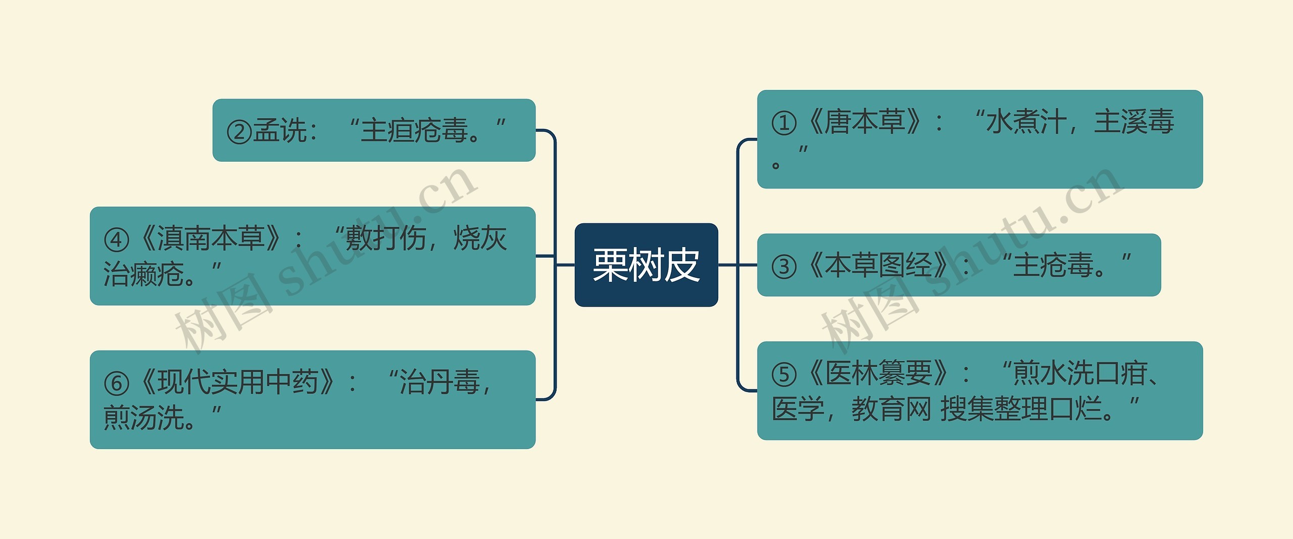 栗树皮思维导图