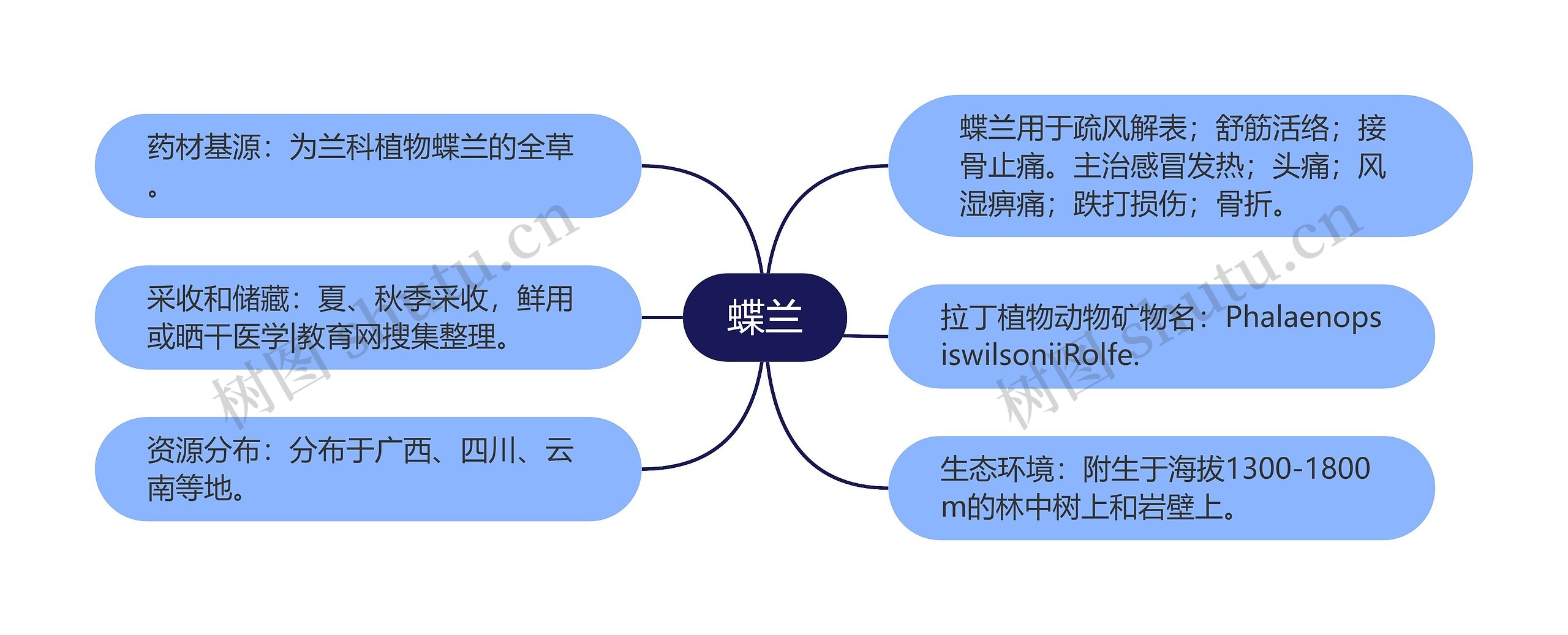 蝶兰思维导图