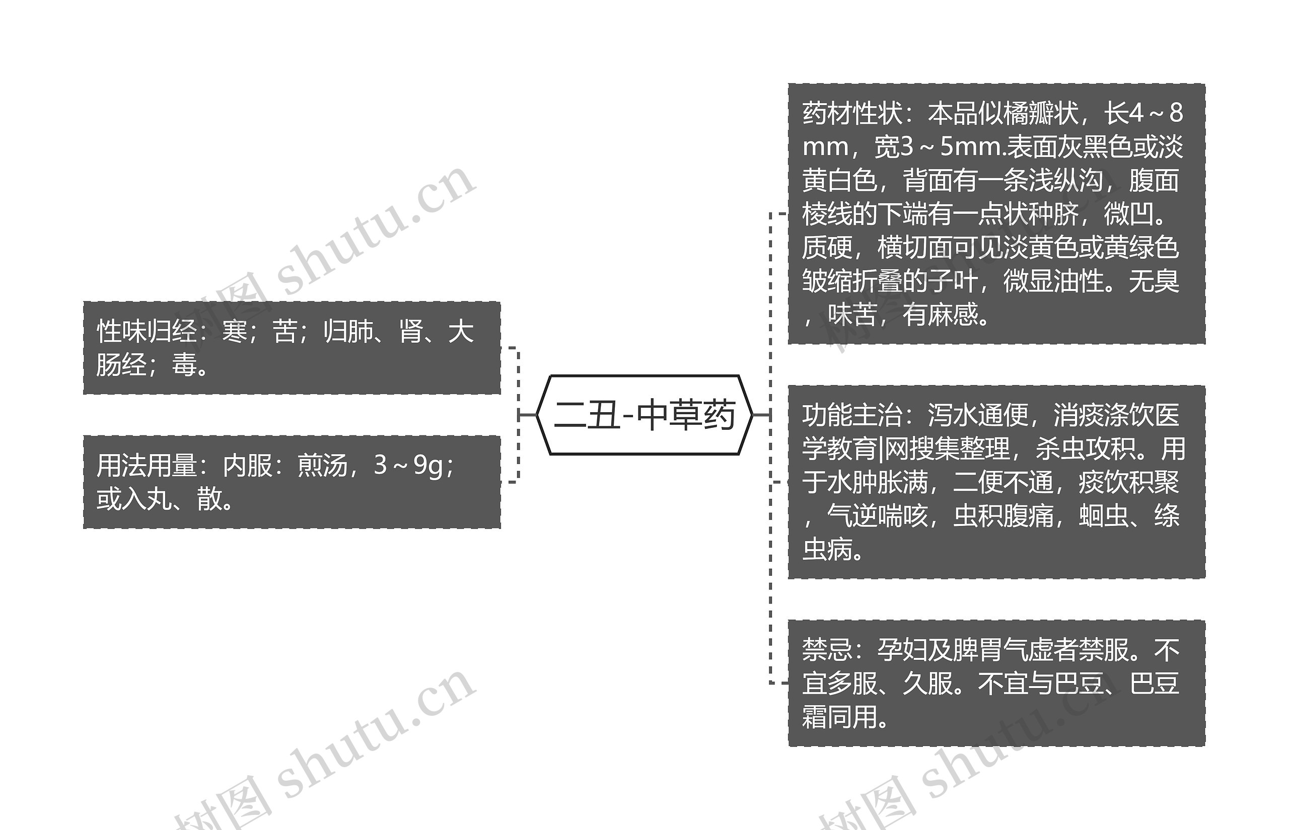 二丑-中草药 二丑-中草药